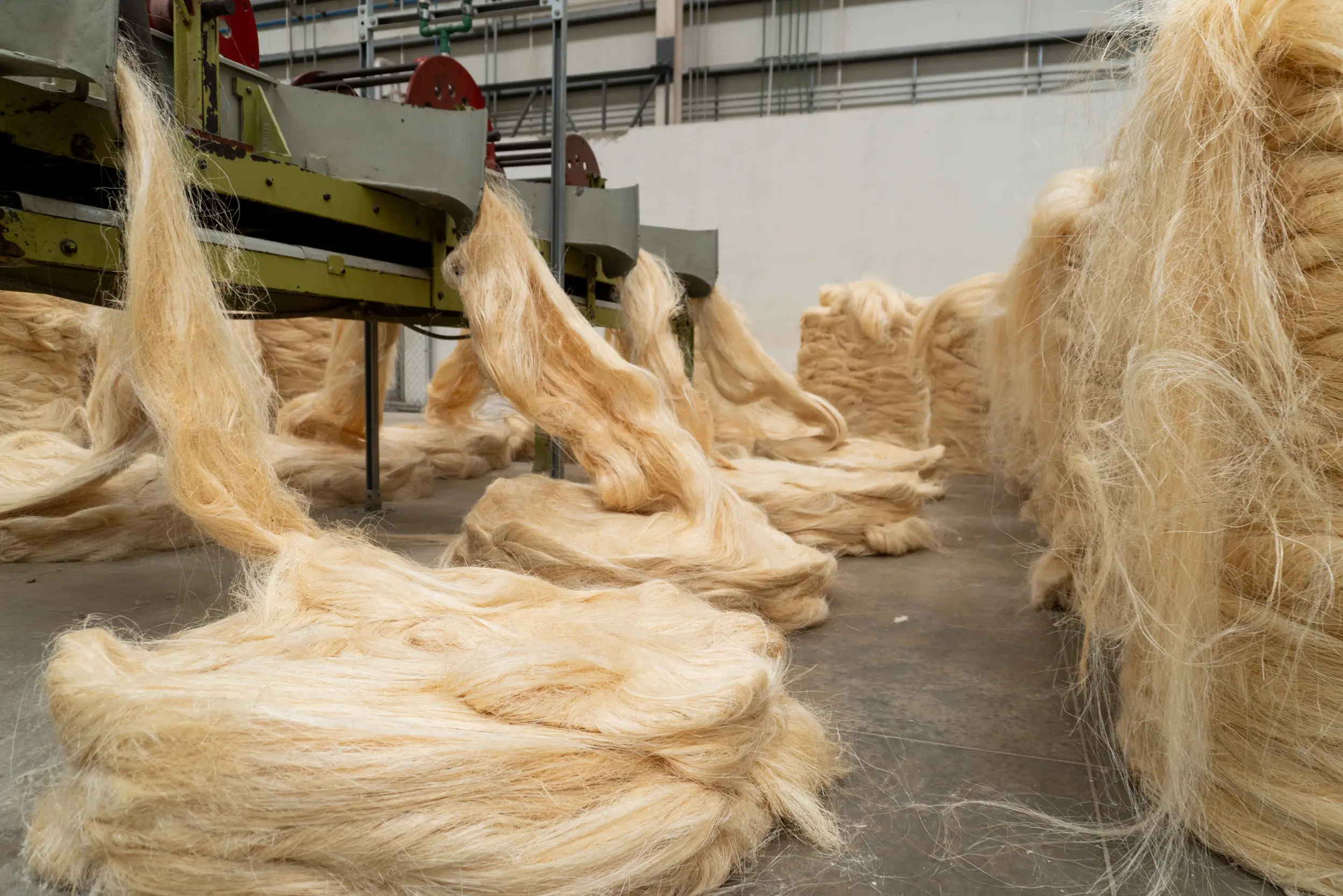 MAANA STUDIOS - SI-DC003