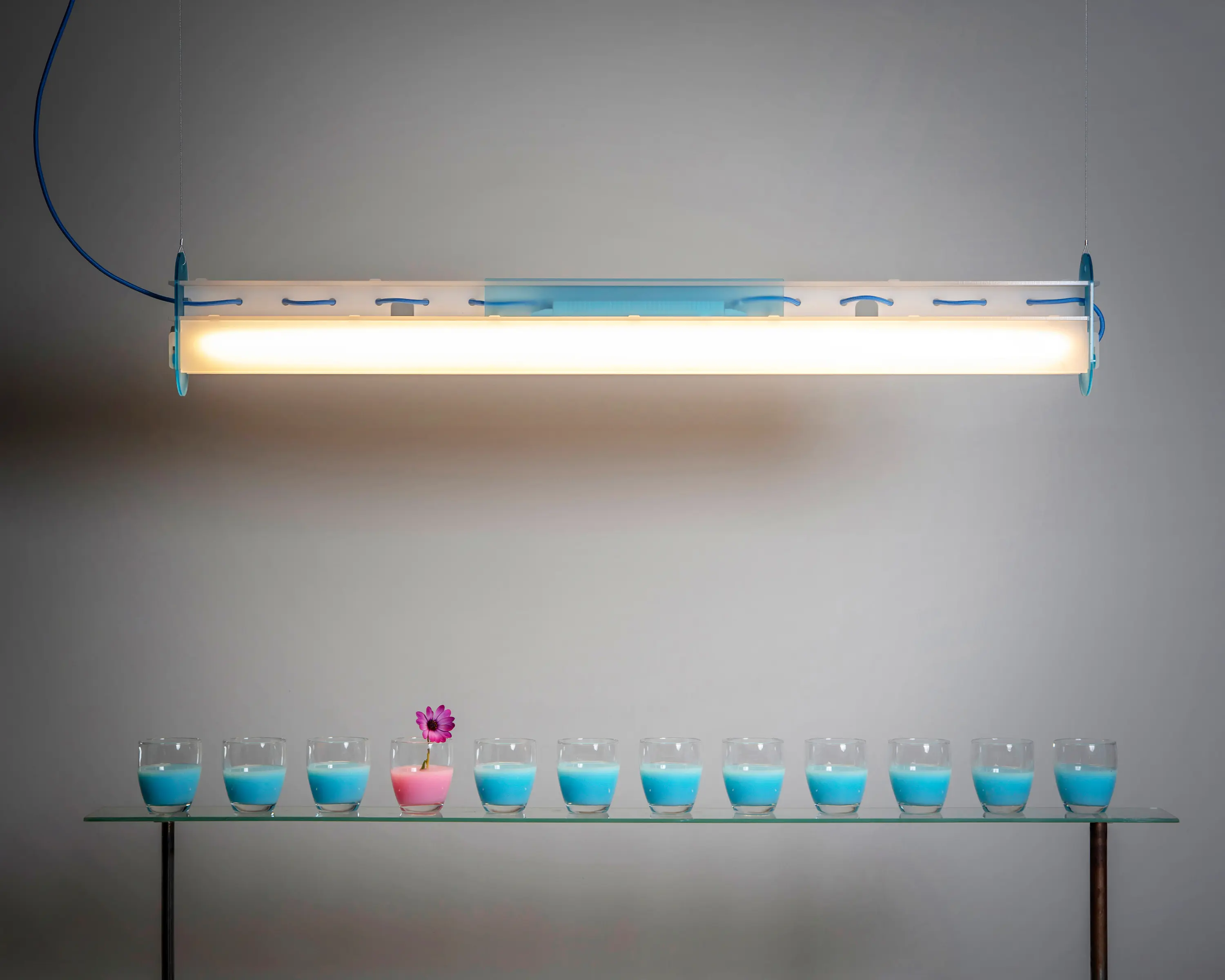 Studio Beam - Linear Pendants  | MILK