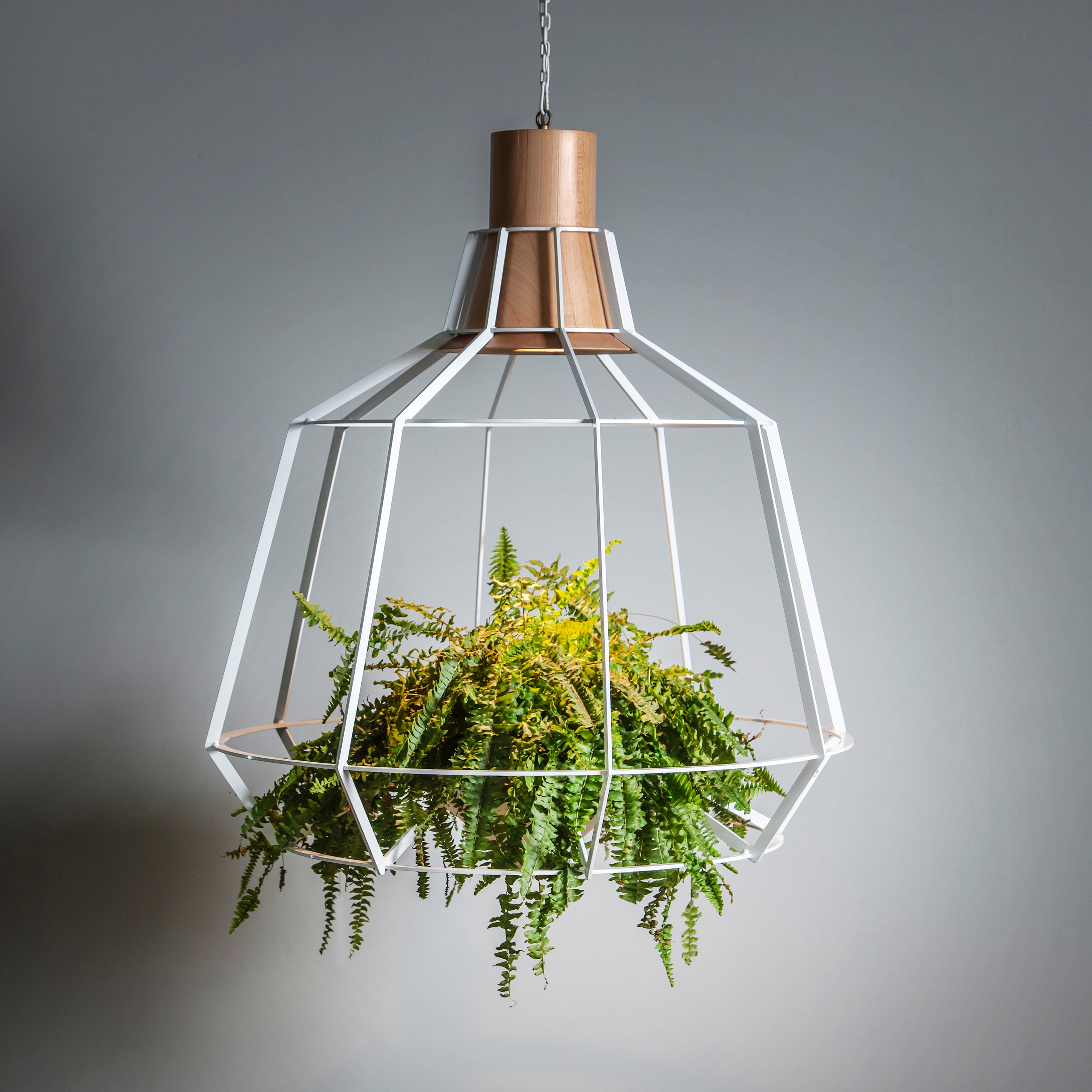 Mostrar el producto Urbanic Green  | Greener del fabricante Studio Beam
