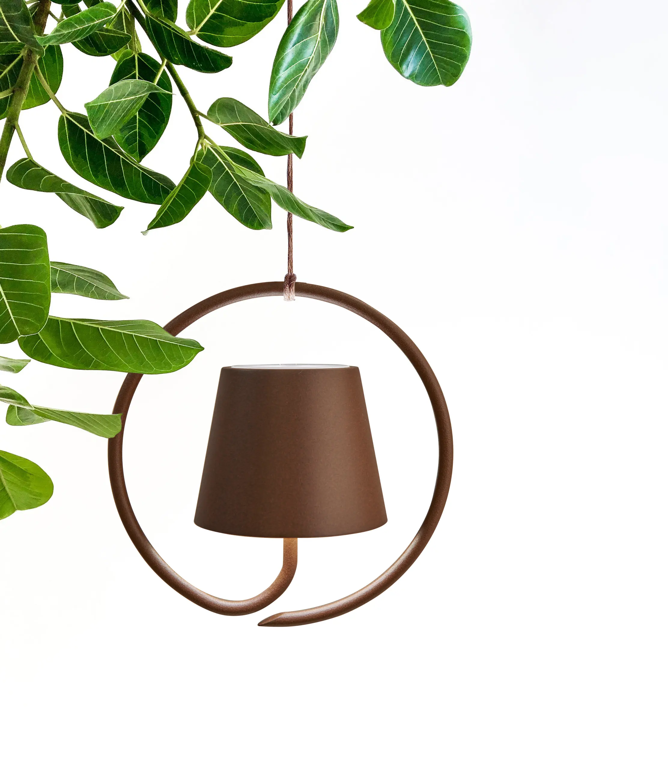 Zafferano - Poldina sospensione