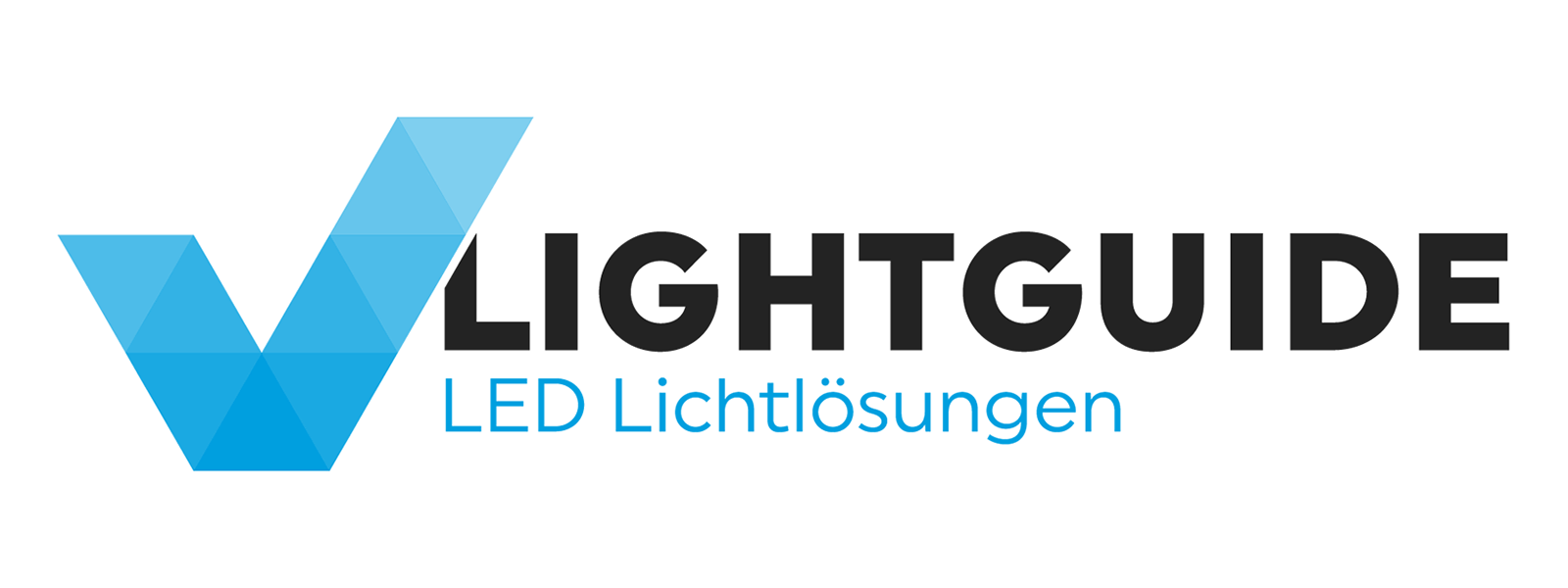 Logo for manufacturer LIGHTGUIDE AG