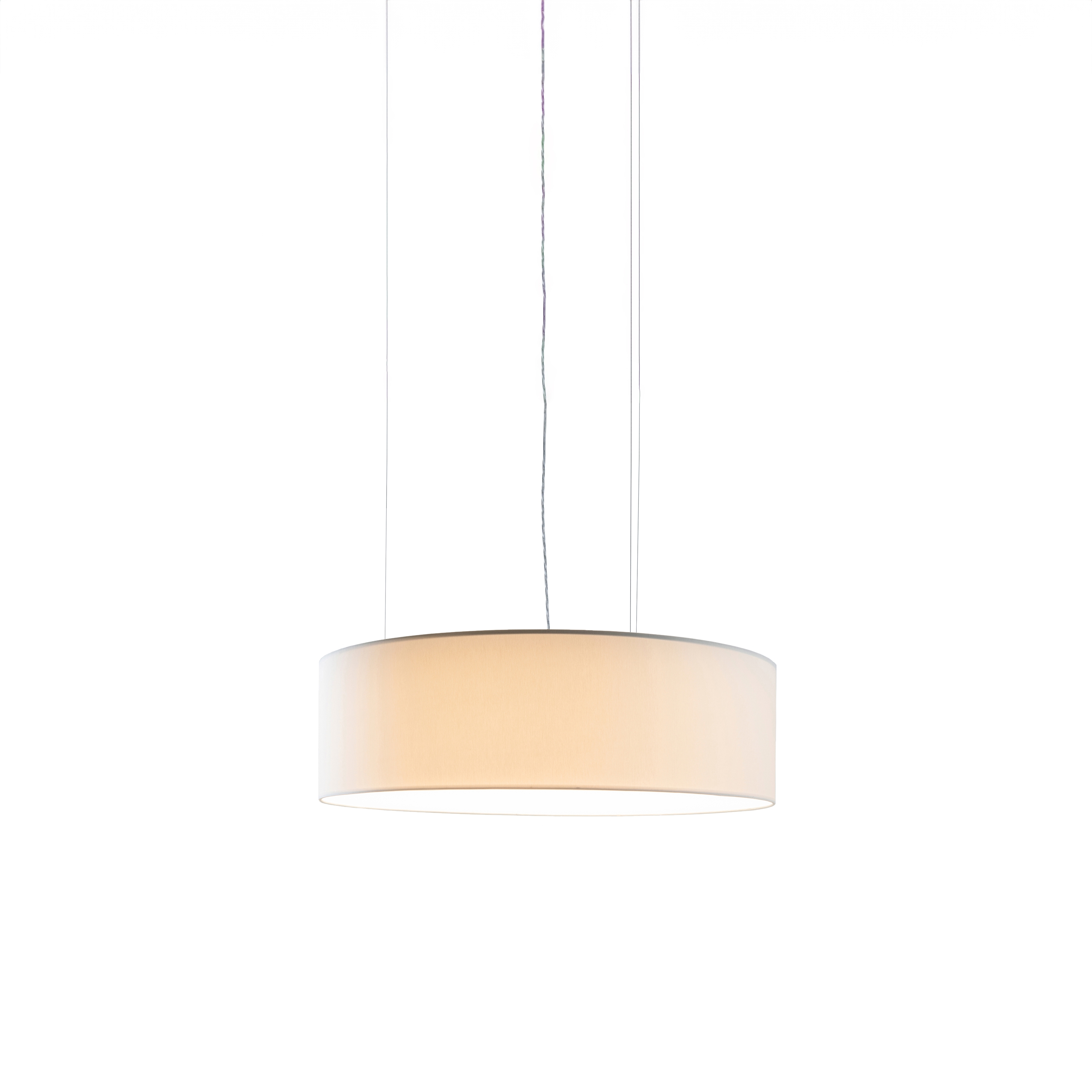 Display product Bitzi Pendel 300 from manufacturer LIGHTGUIDE AG