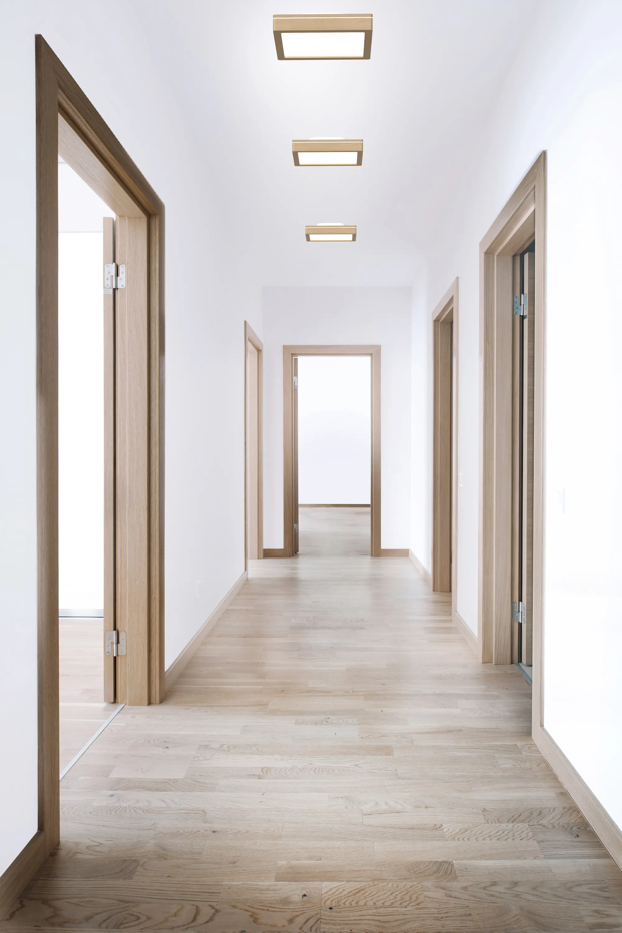 LIGHTGUIDE AG - Wood Downlight Square