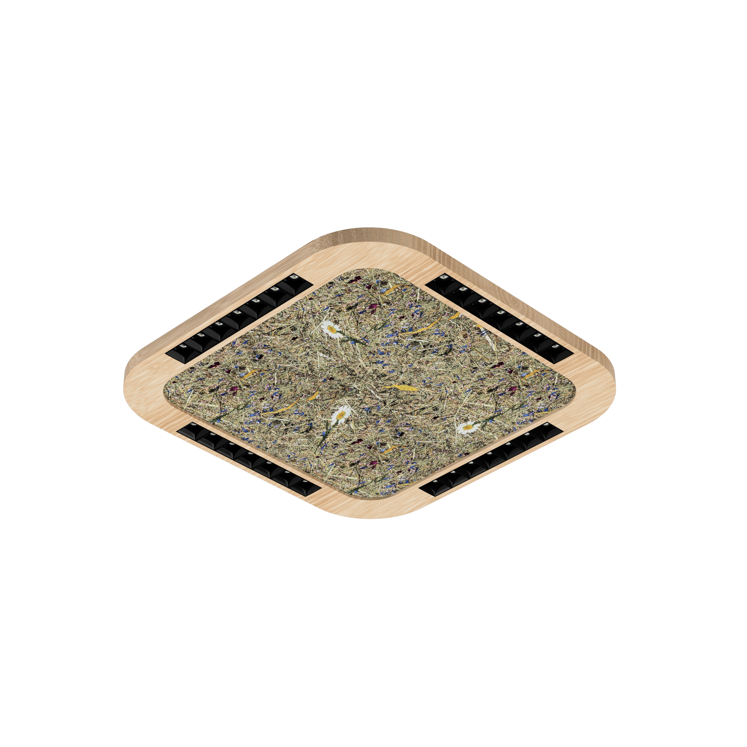 Display product Wood Square 60/600 LFS from manufacturer LIGHTGUIDE AG