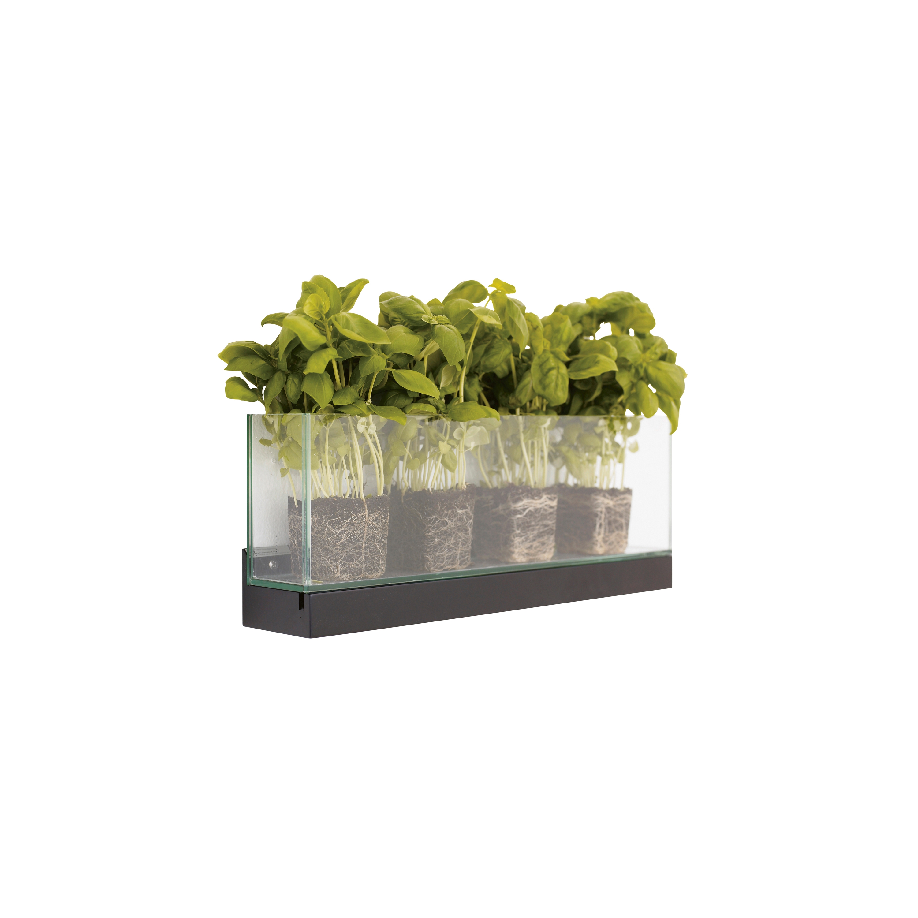 Display product Front Plant from manufacturer Karl Andersson & Söner