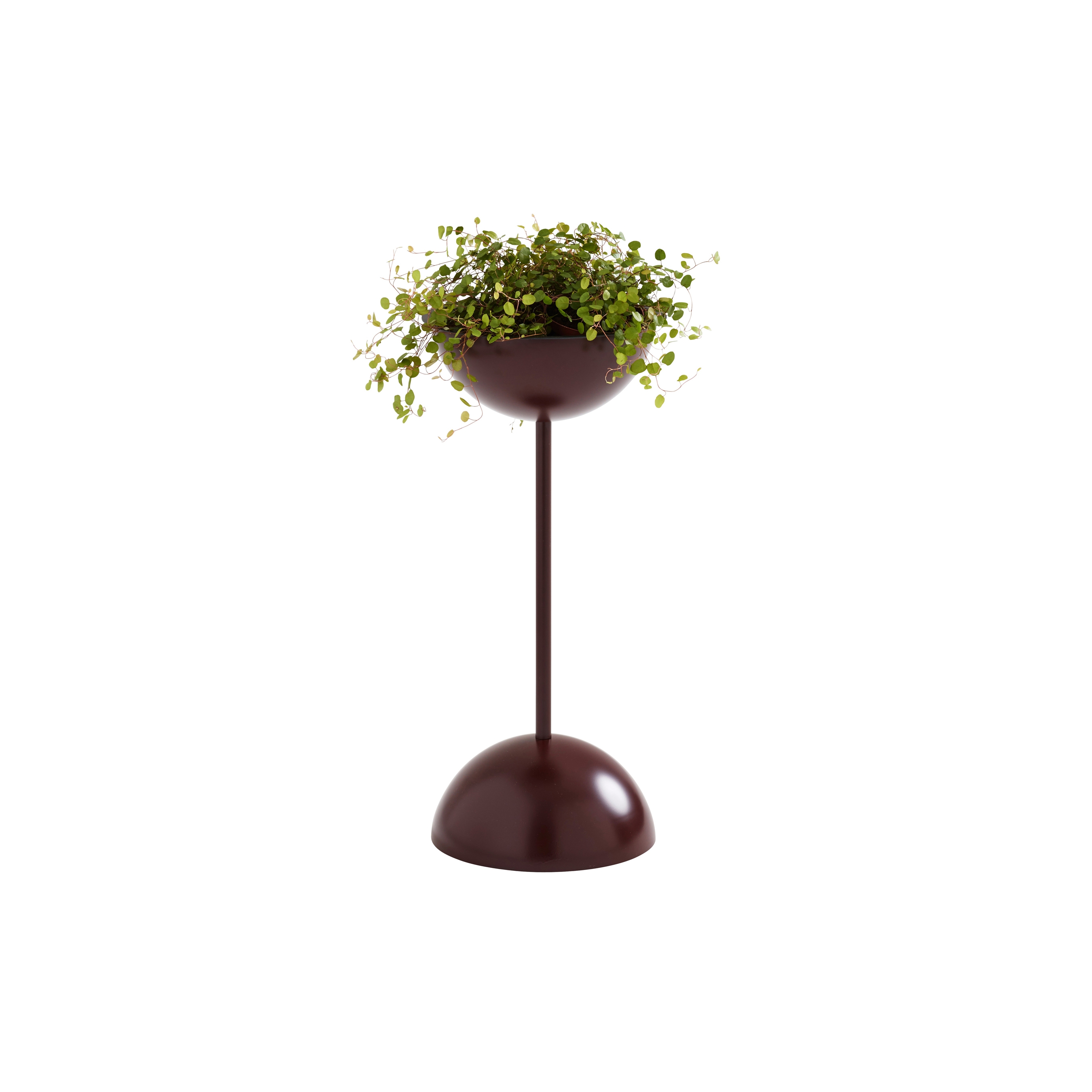 Display product Lollipop LOS60L, LOF25 from manufacturer Karl Andersson & Söner