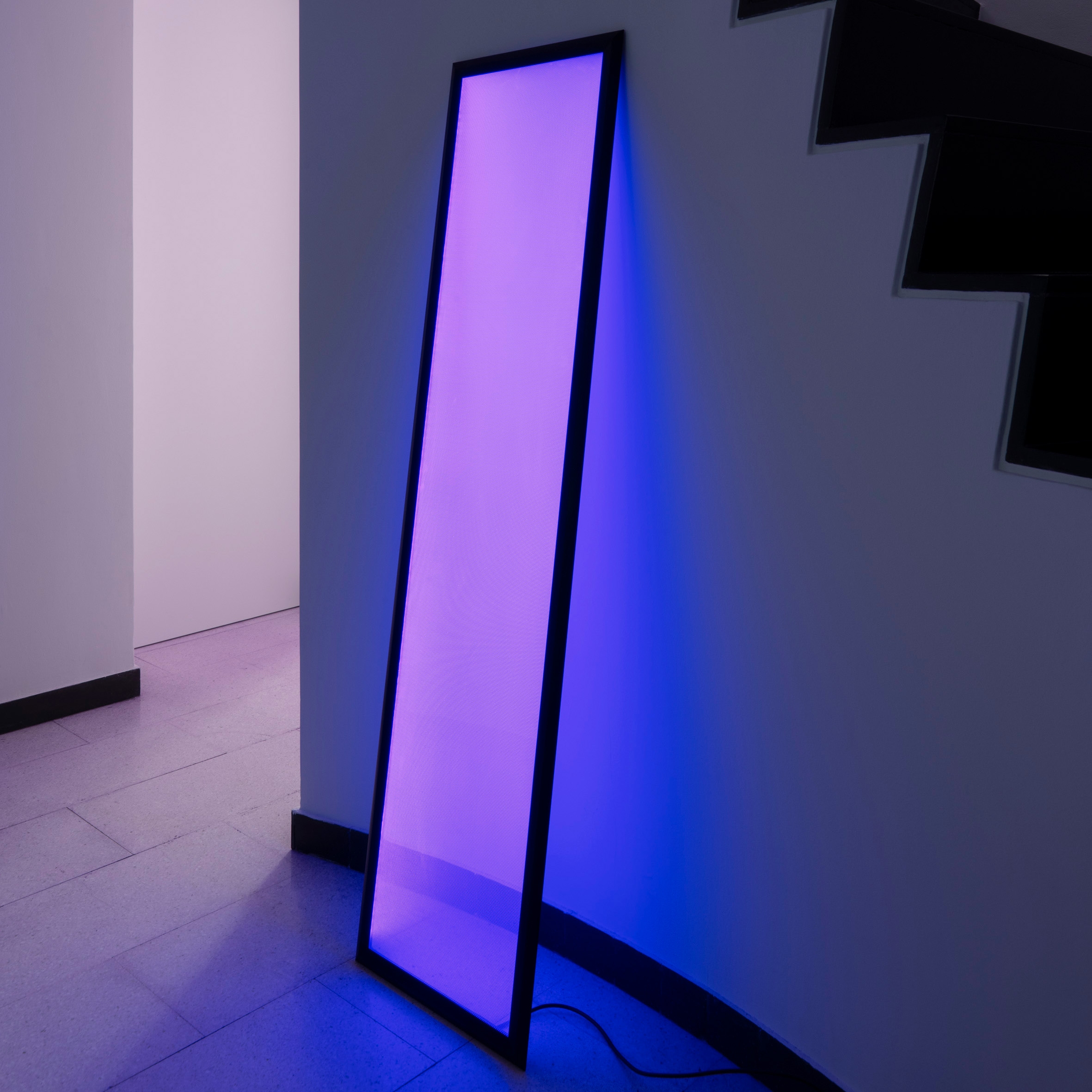 Discovery Floor