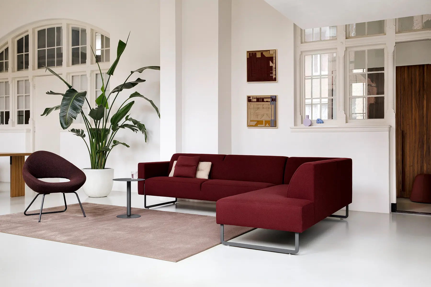 Artifort - Mare Fixed Cushion