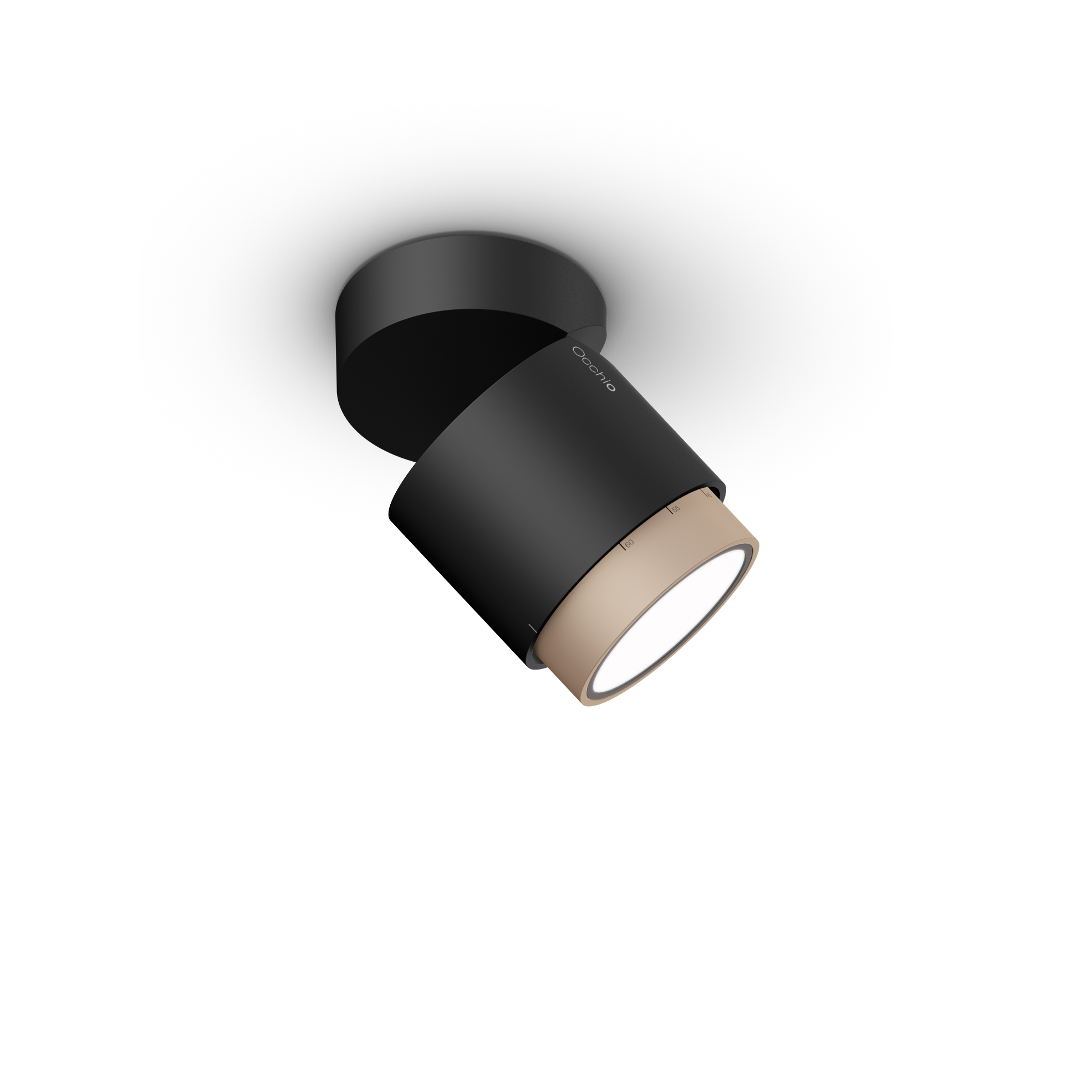 lui volto