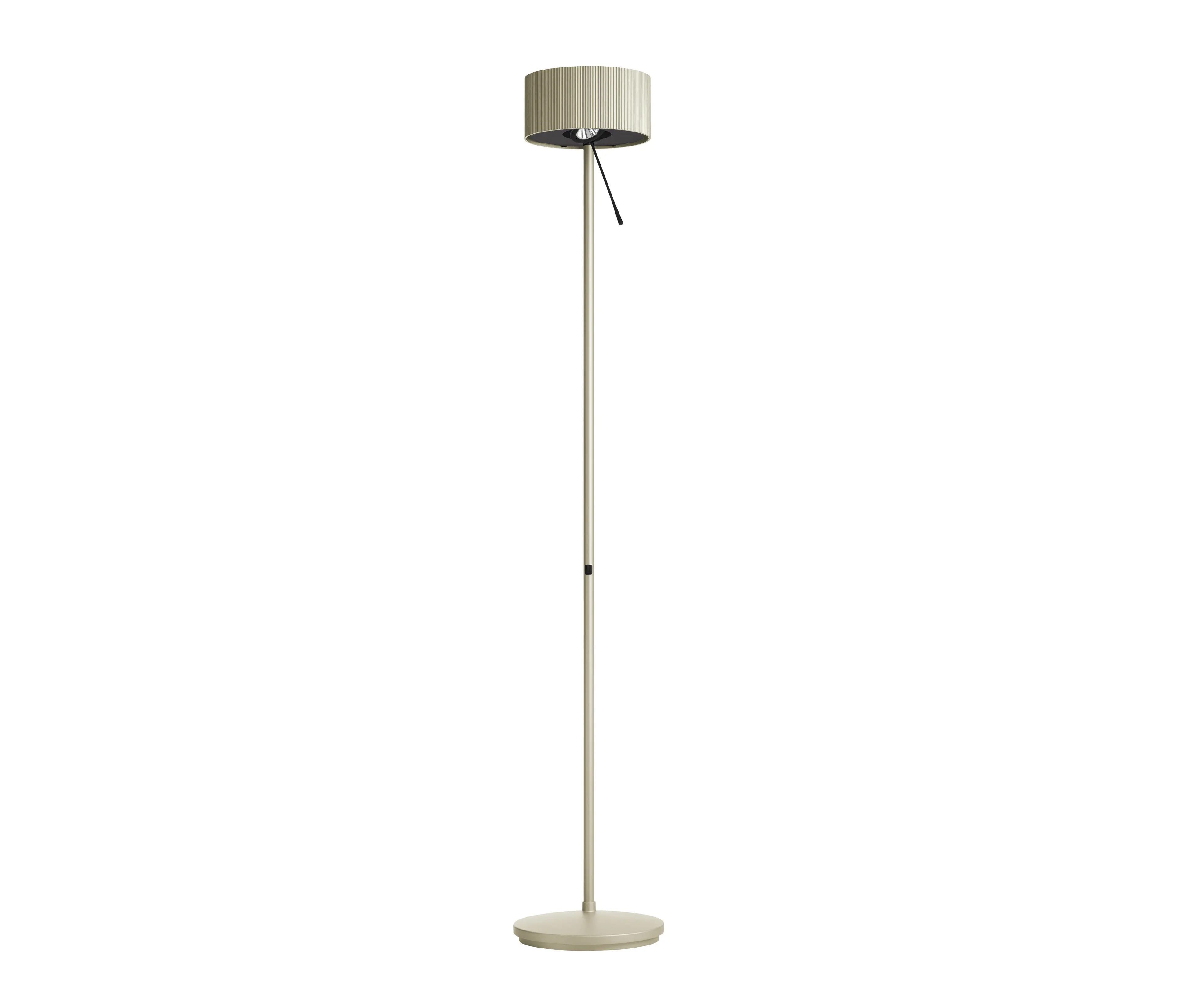 BELUX - Diogenes - grey-gold