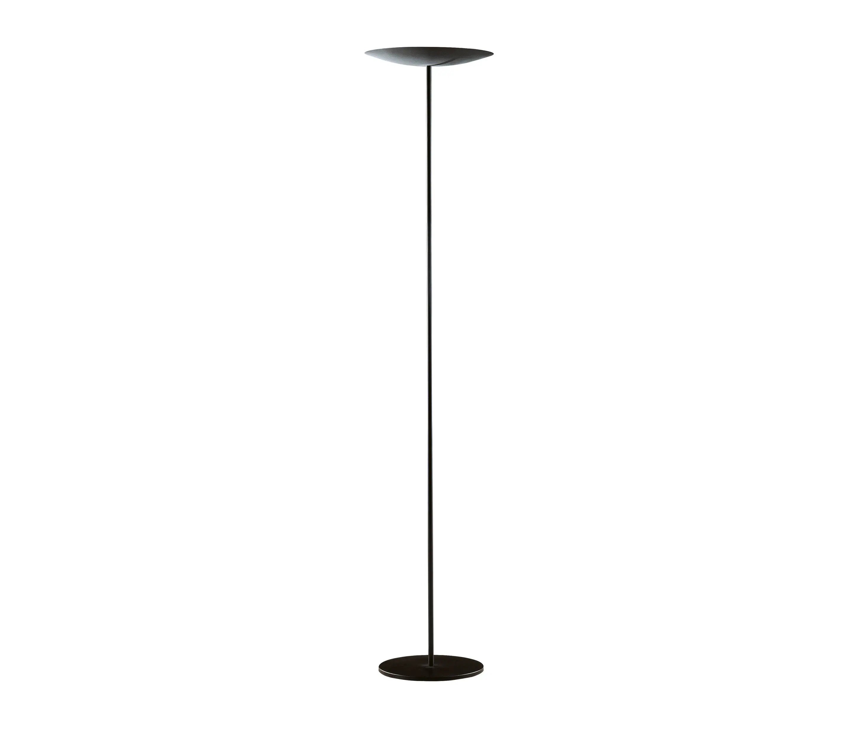 BELUX - Classic - noir