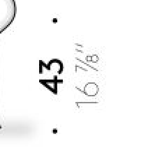 Thumbnail for image 12