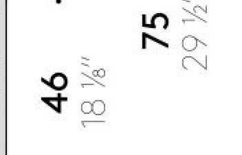 Thumbnail for image 7