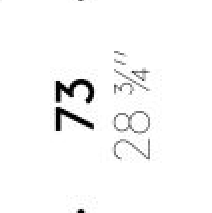 Thumbnail for image 28