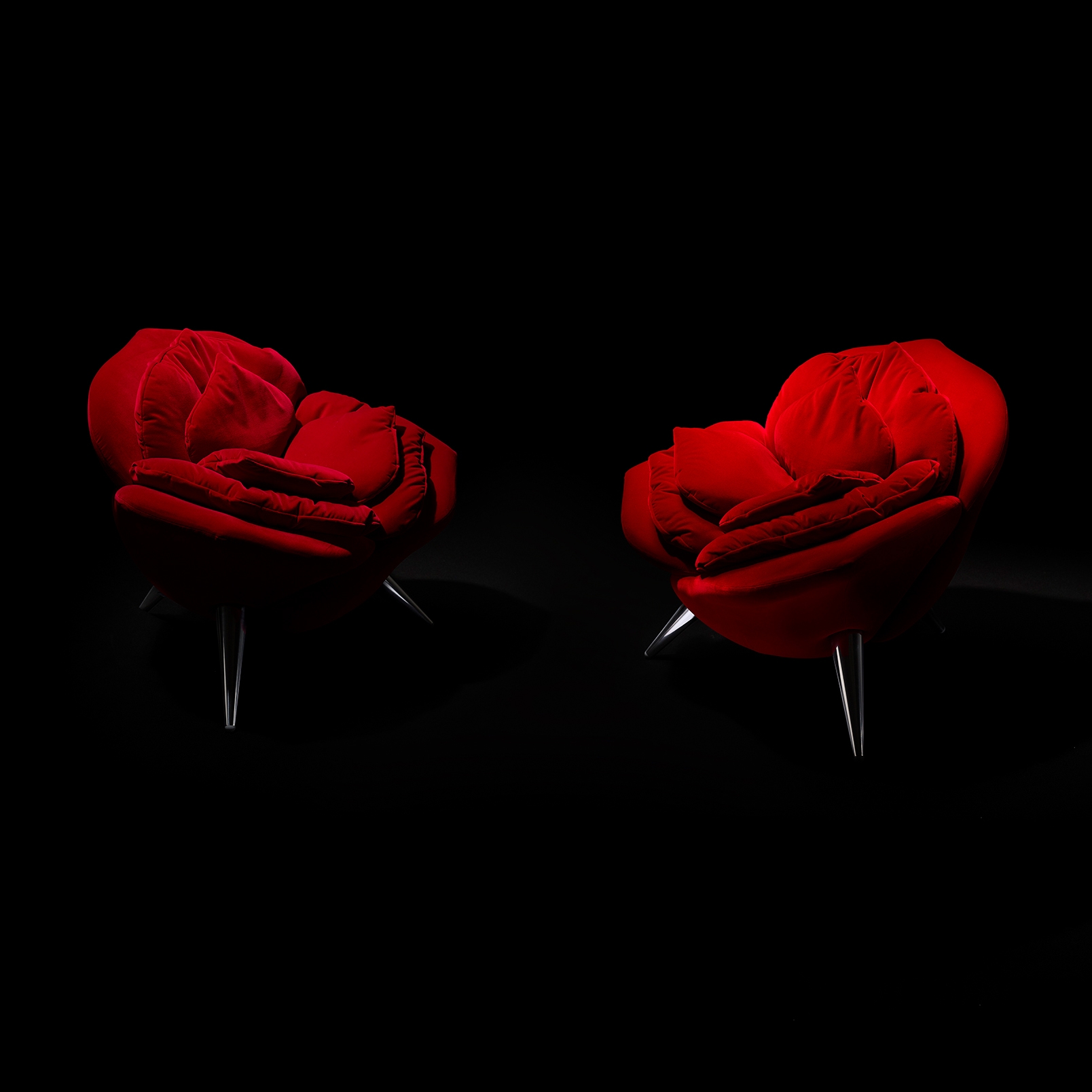 Display product Rose Chair from manufacturer Edra