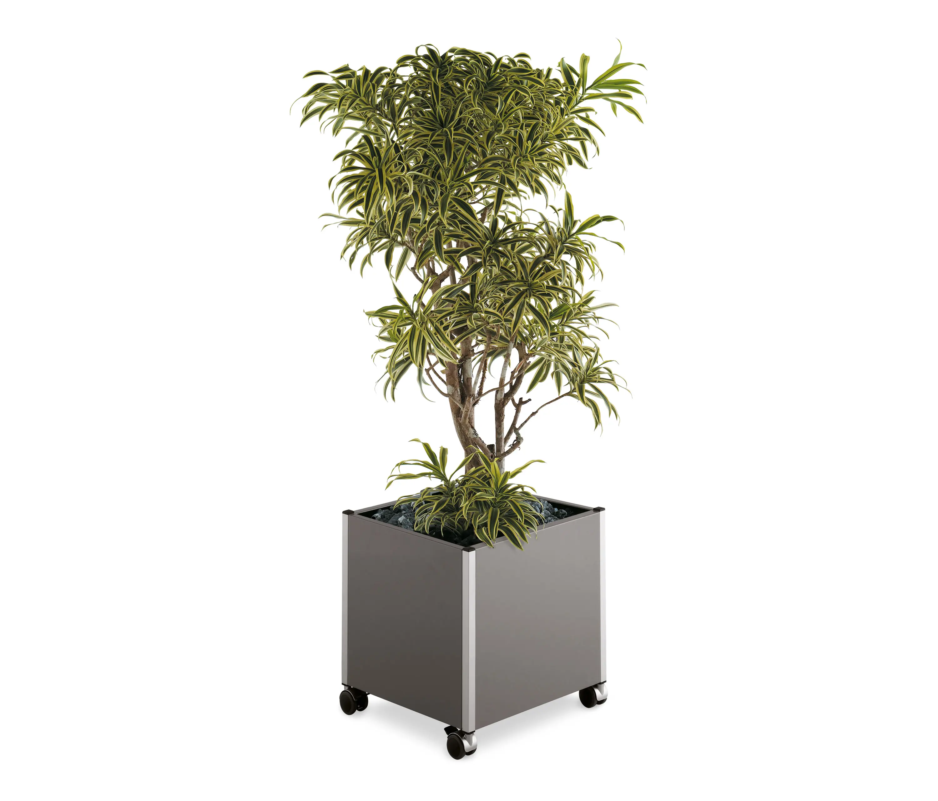 Embru-Werke AG - eQ Indoor plant modul