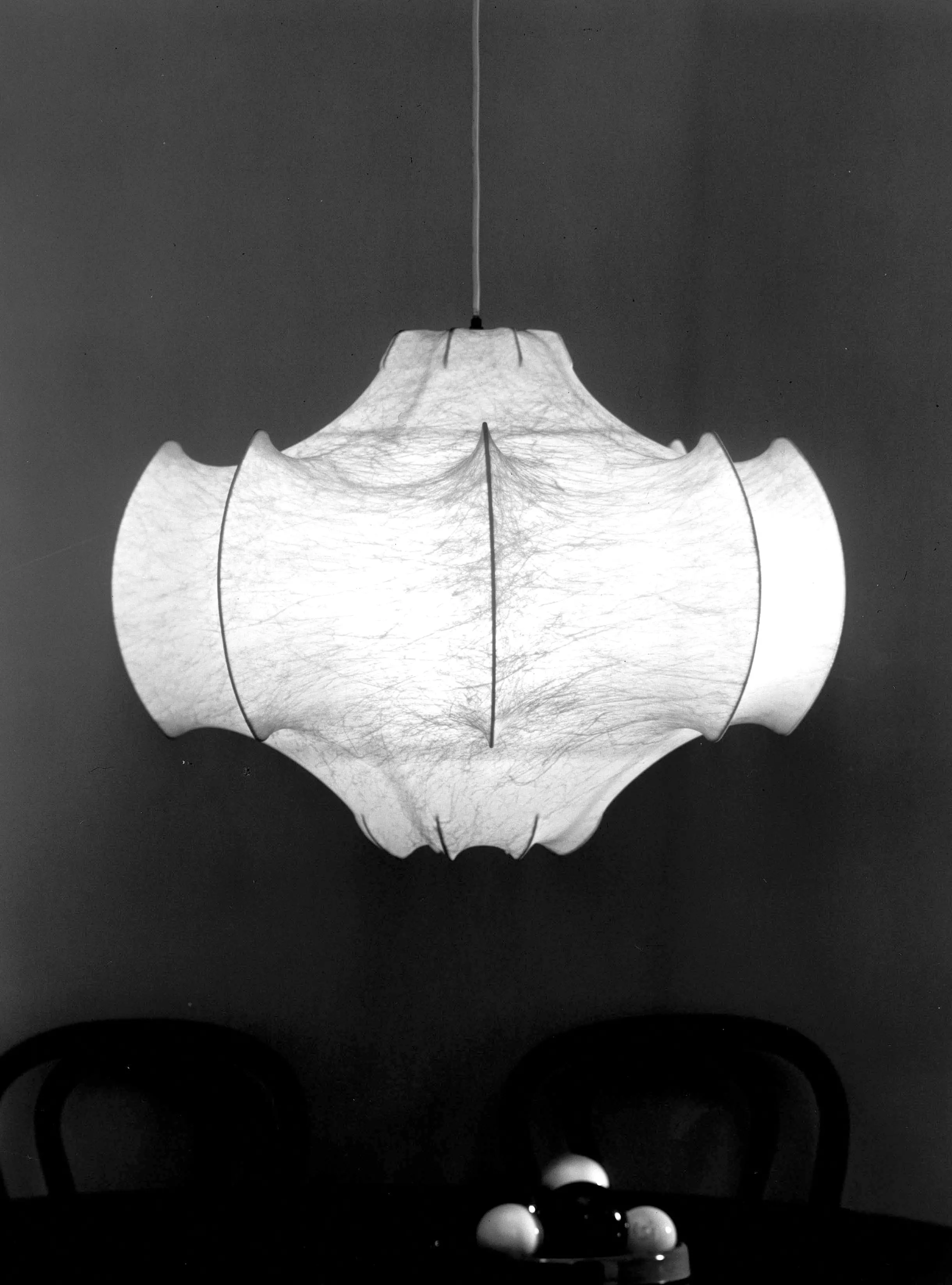 Flos - Viscontea