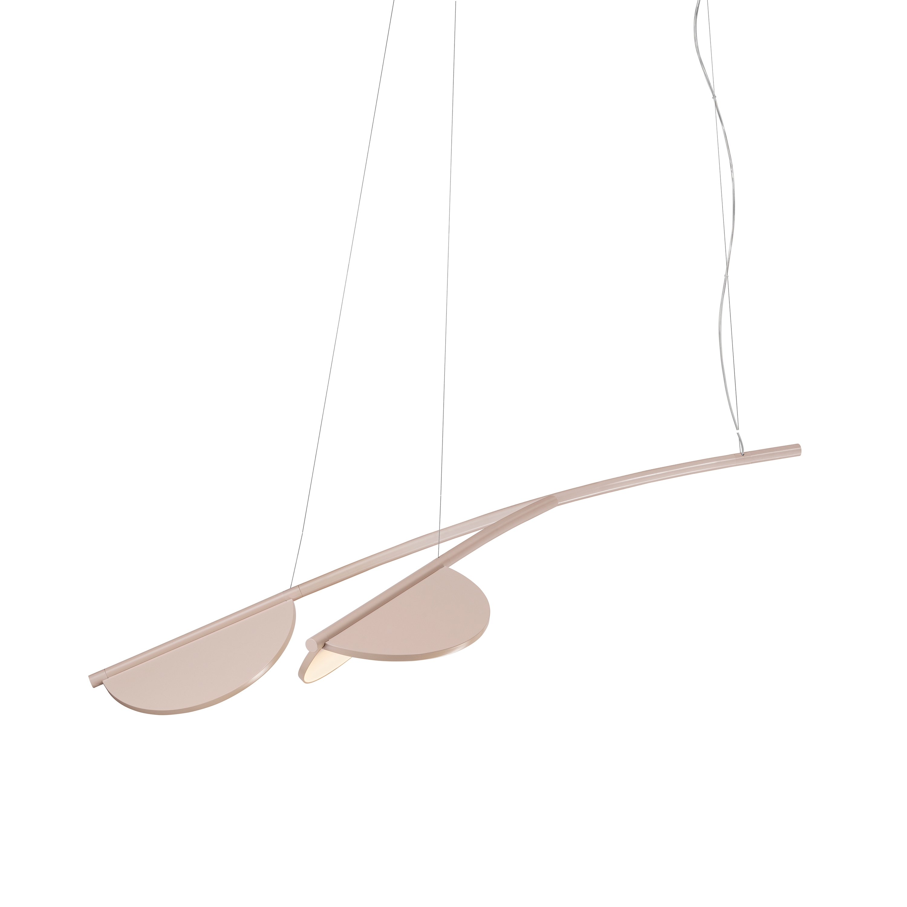 Almendra Organic S2 Y Short