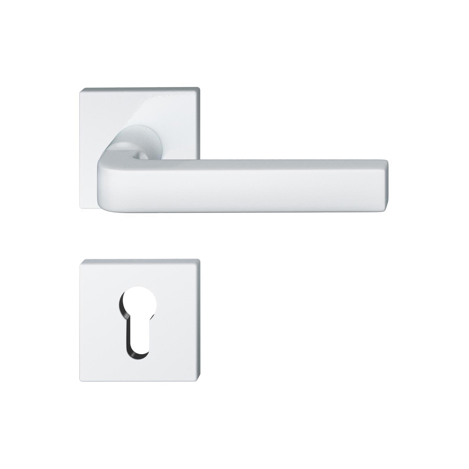 FSB 12 1004 | 8220 Lever set