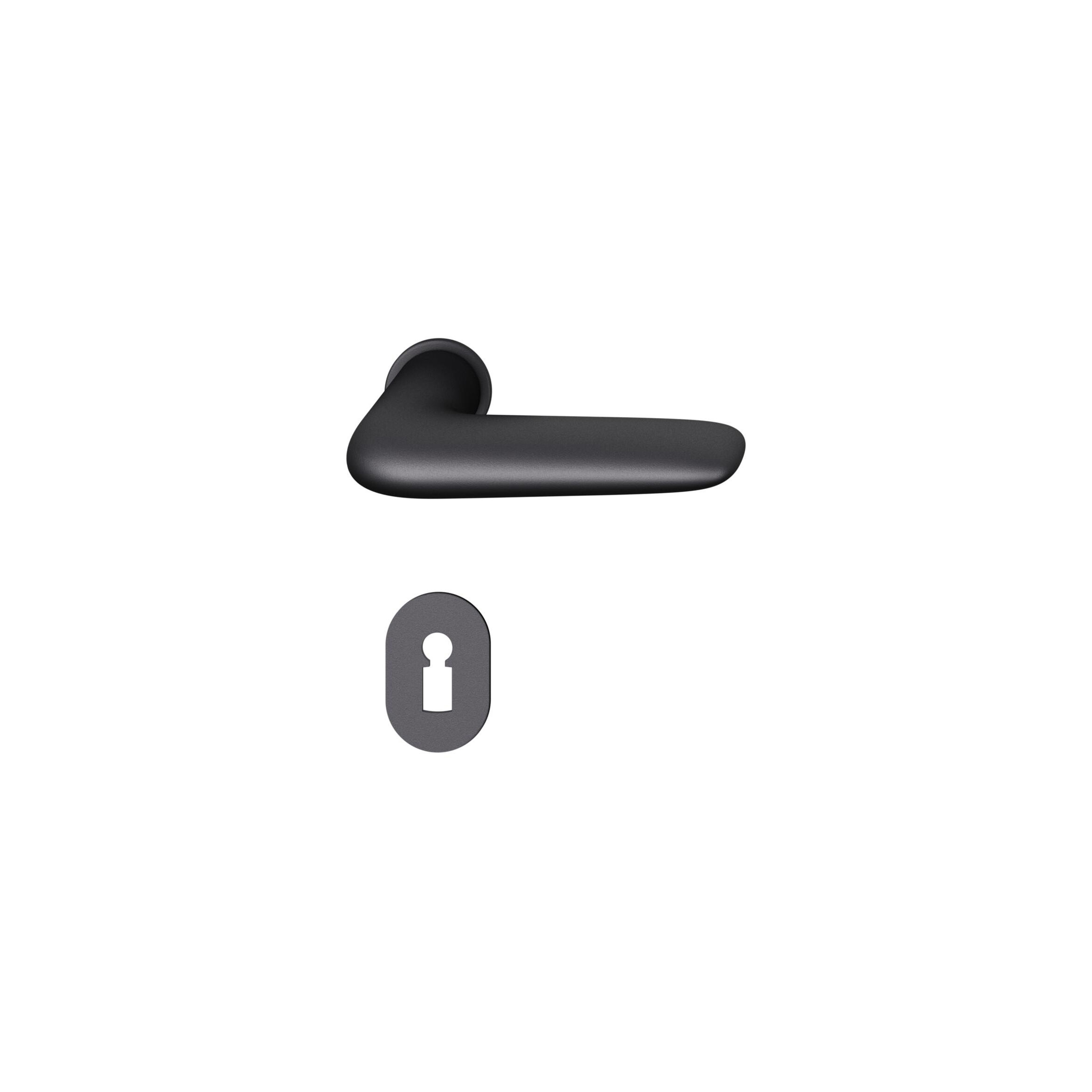 FSB 15 1291 Plug-in Handle for Doors