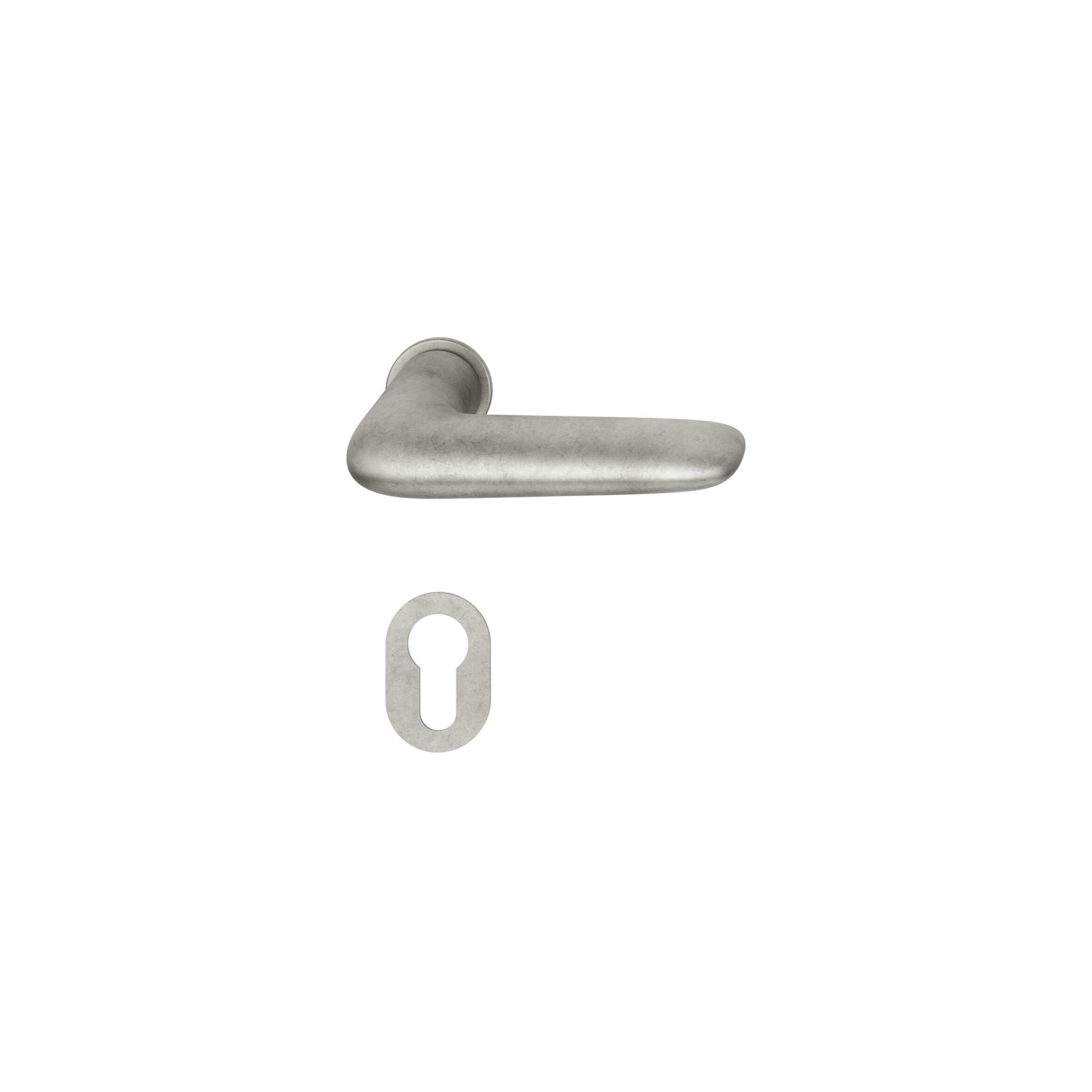 FSB 15 1291 Plug-in Handle for Doors
