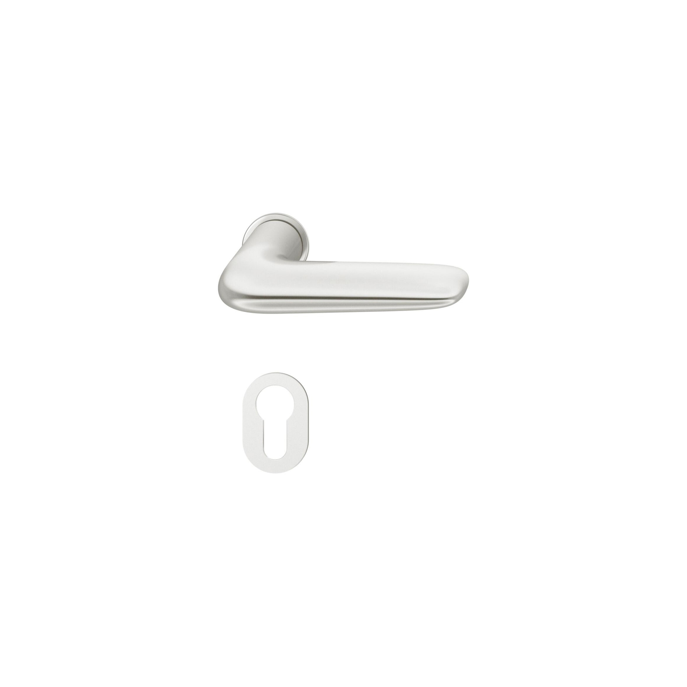 Mostrar el producto FSB 15 1291 Plug-in Handle for Doors del fabricante FSB