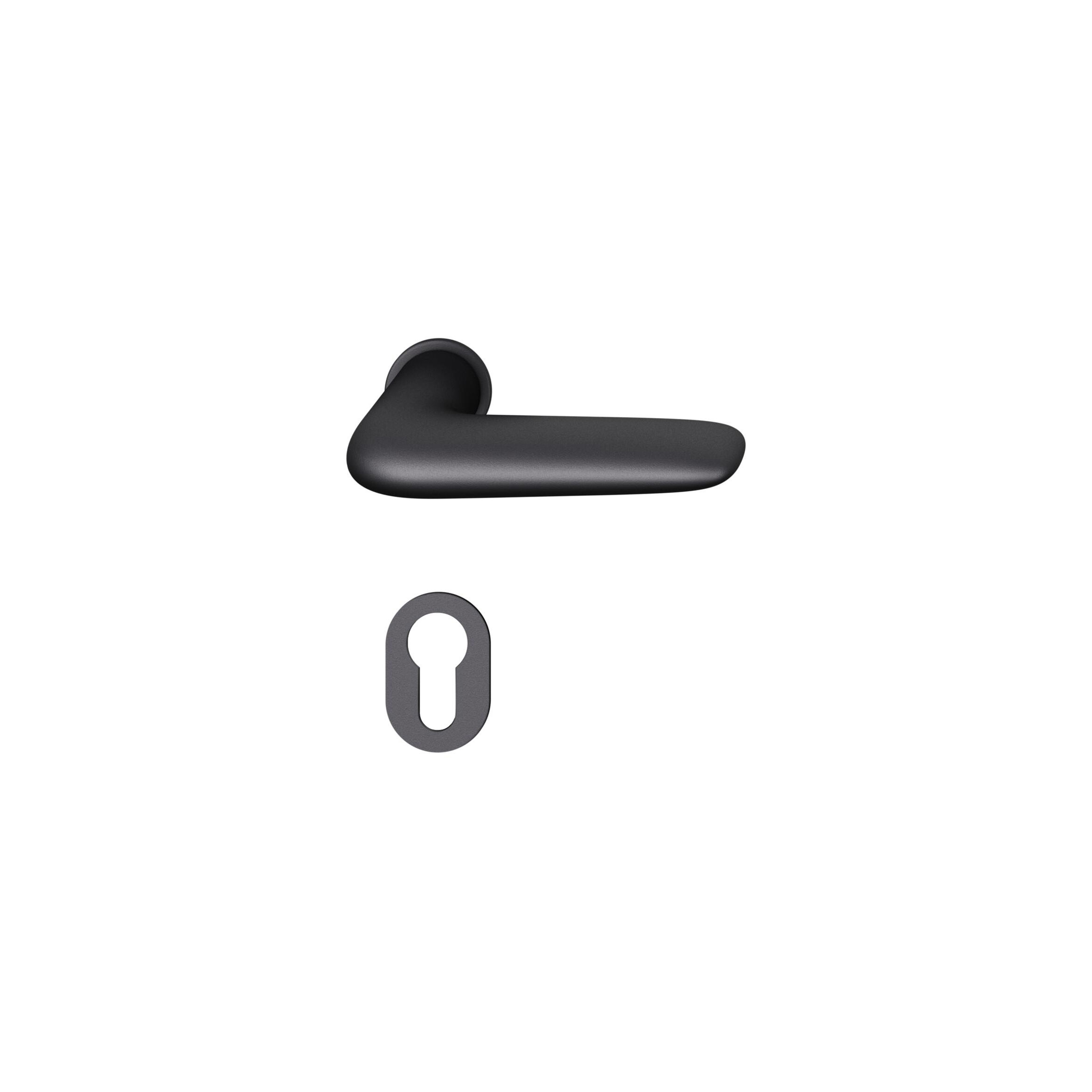 Vertoon produk FSB 15 1291 Plug-in Handle for Doors van vervaardiger FSB