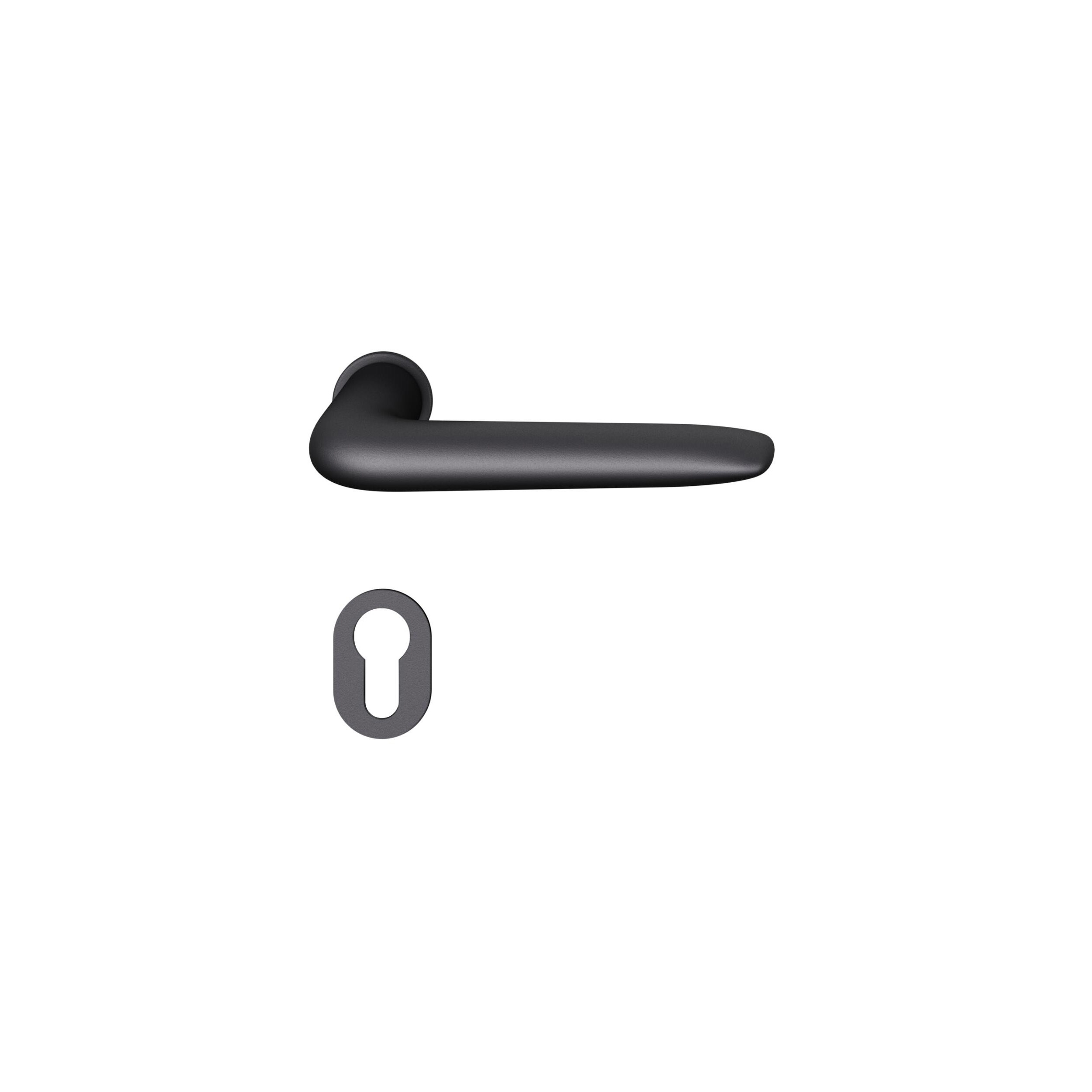 Display product FSB 15 1292 Plug-in Handle for Doors from manufacturer FSB