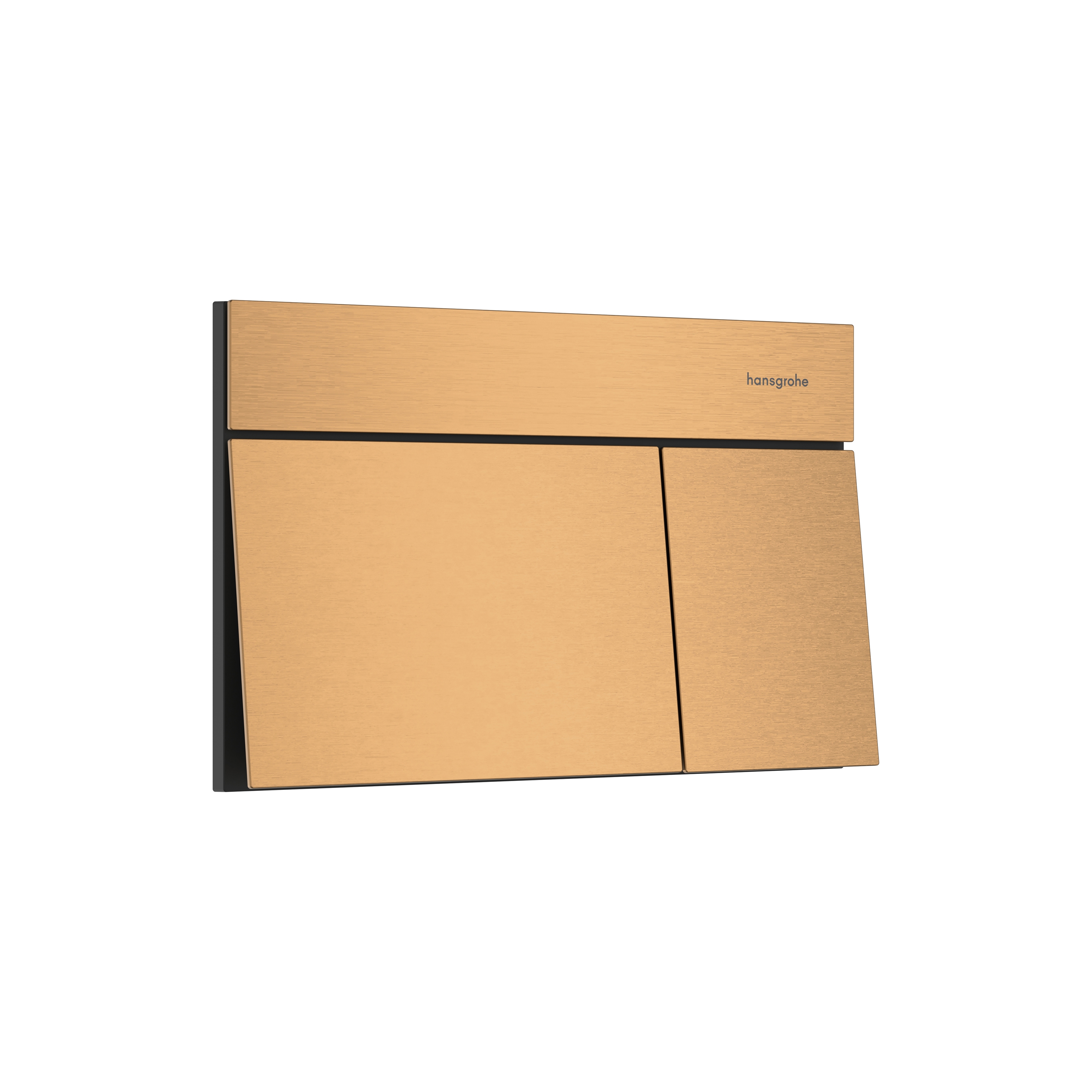 Vertoon produk iFrame Element E Flush plate for dual flush van vervaardiger Hansgrohe