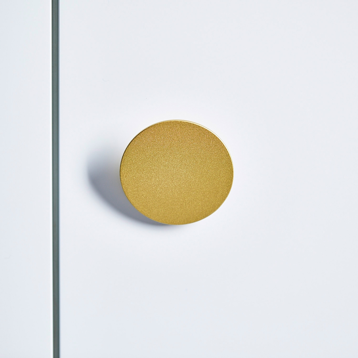 Display product Intaro | Dot Handle from manufacturer interlübke