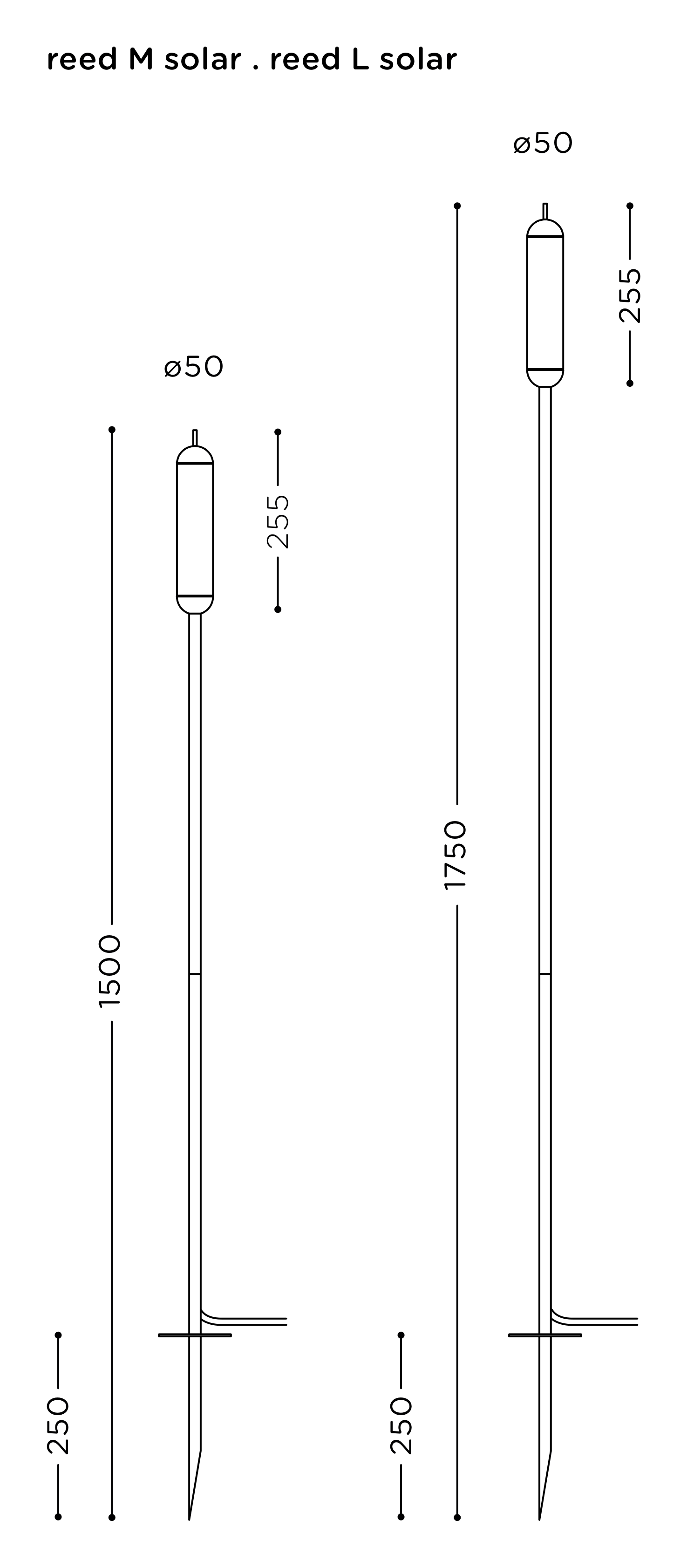 Thumbnail for image 10