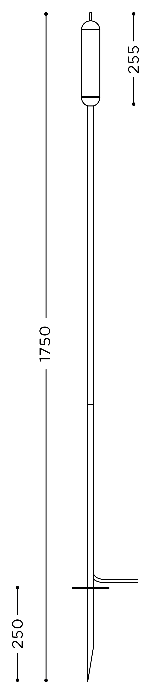 Thumbnail for image 6