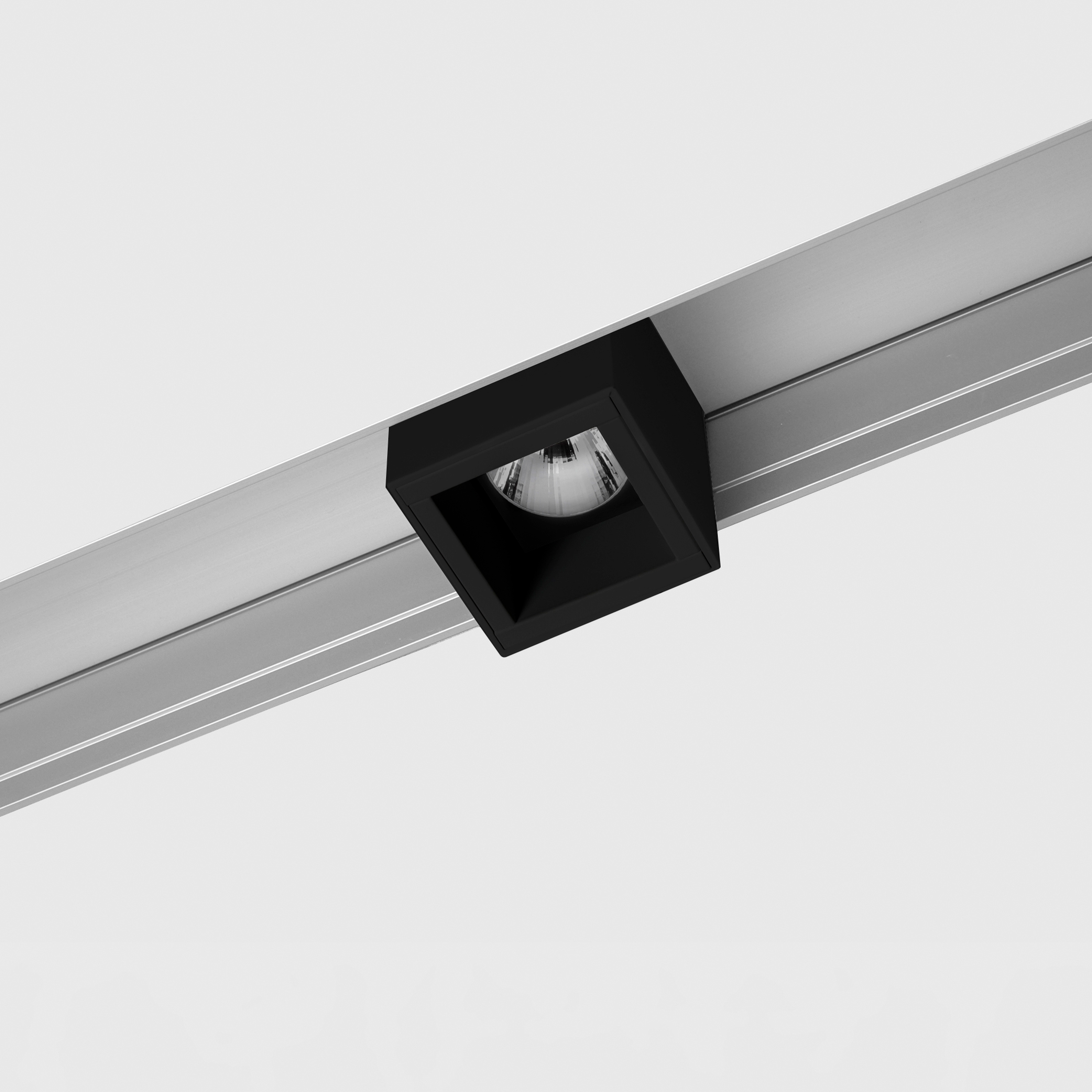 Prologe 80 in-line & in-dolma single