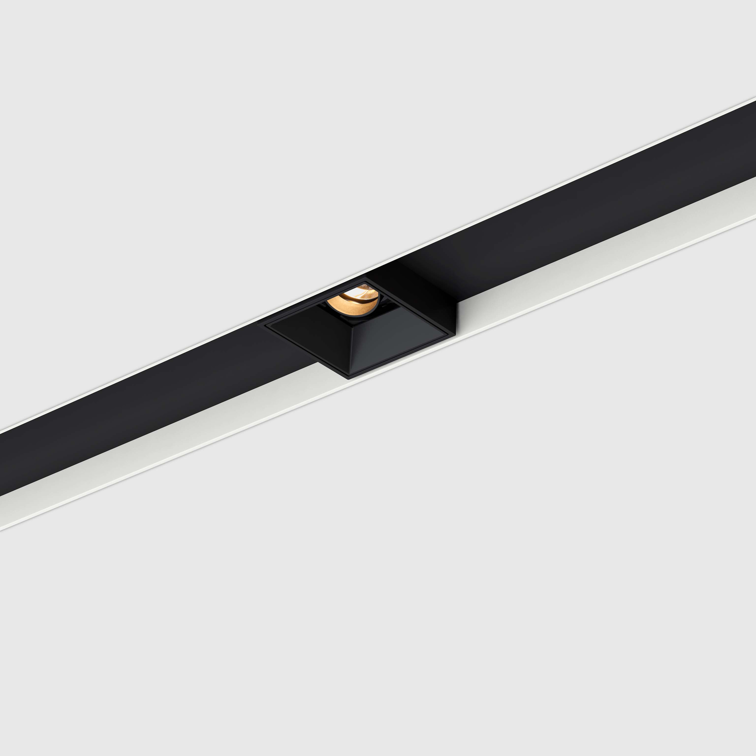 Prologe 80 single in-cana