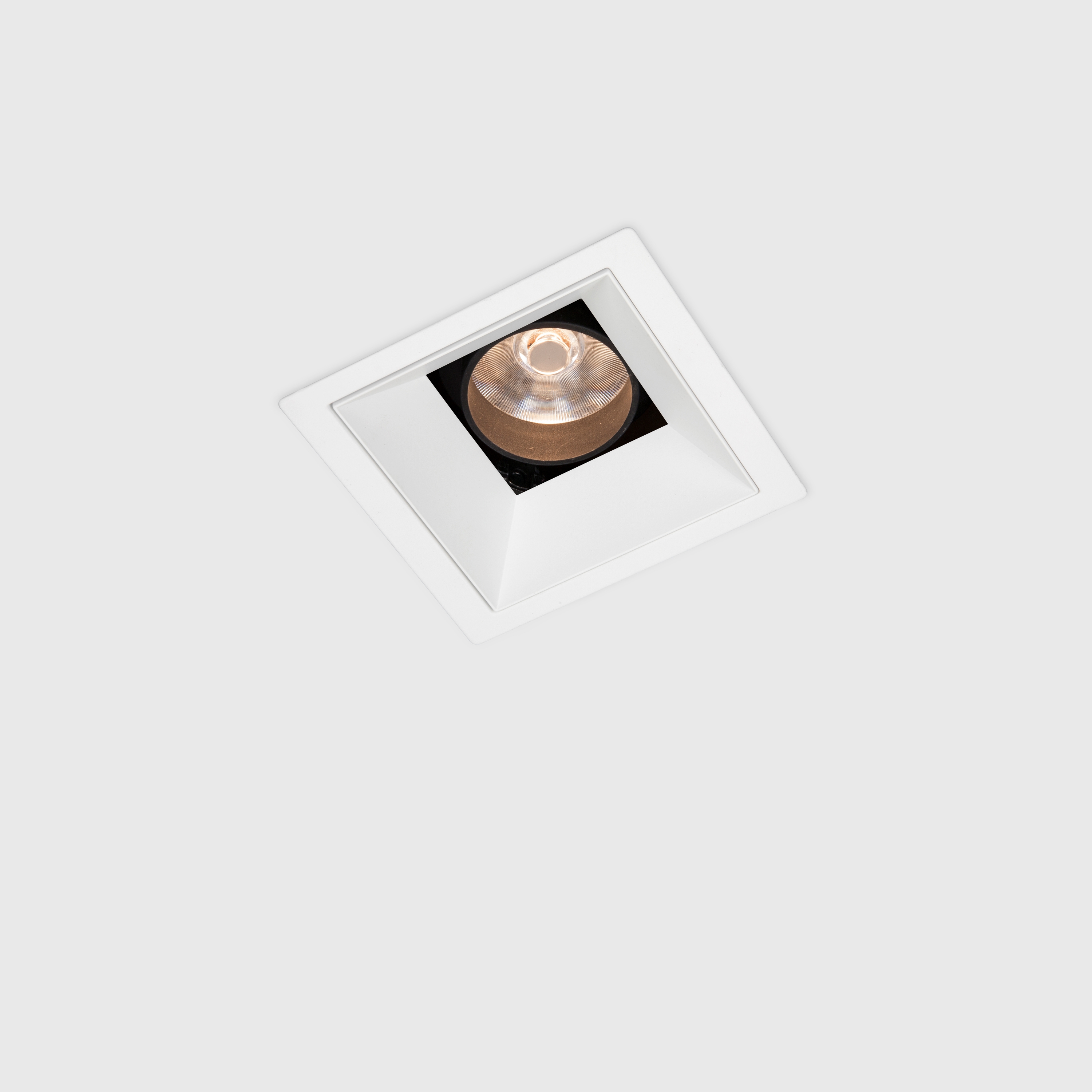 Down 80 downlight