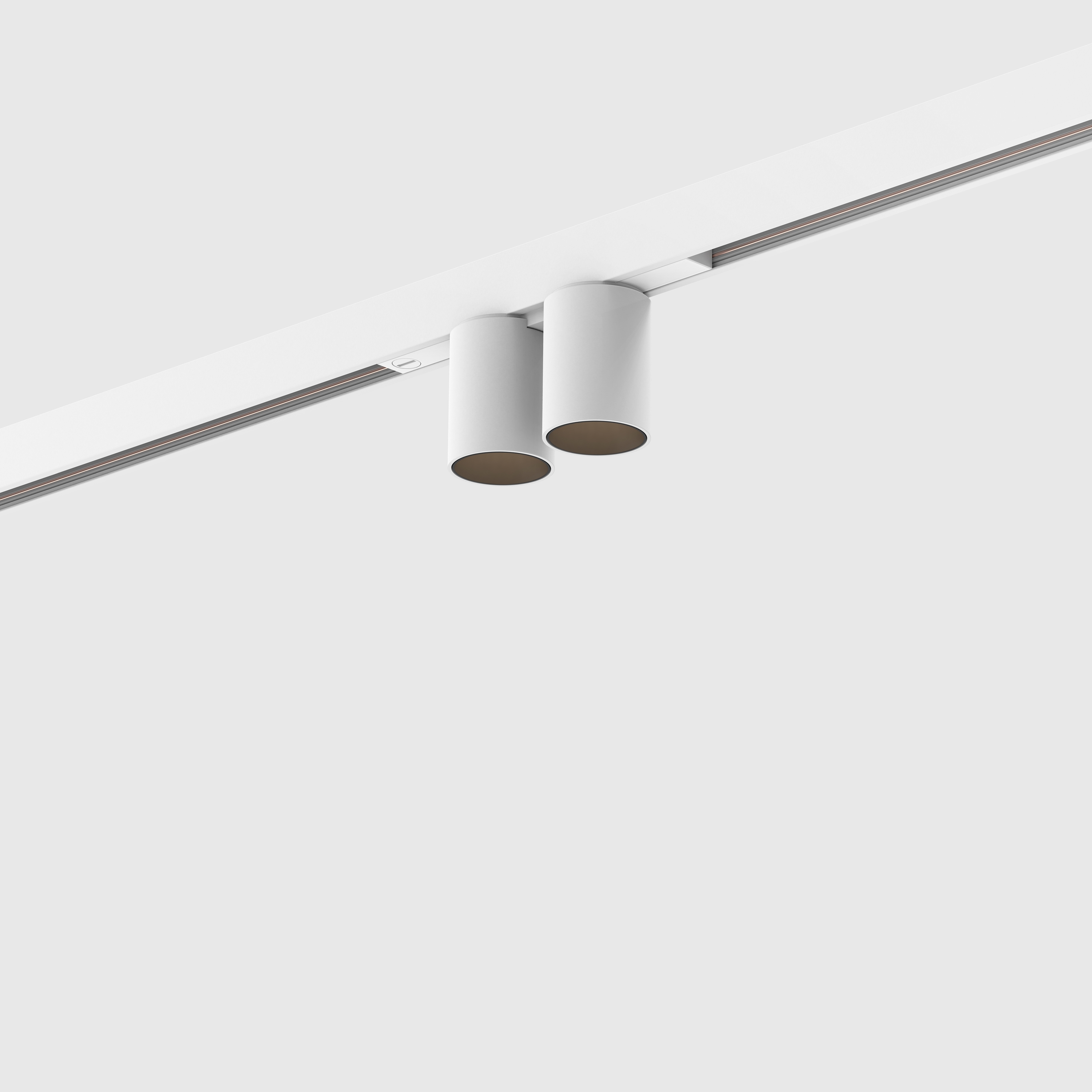 Holon 40 double downlight on-track