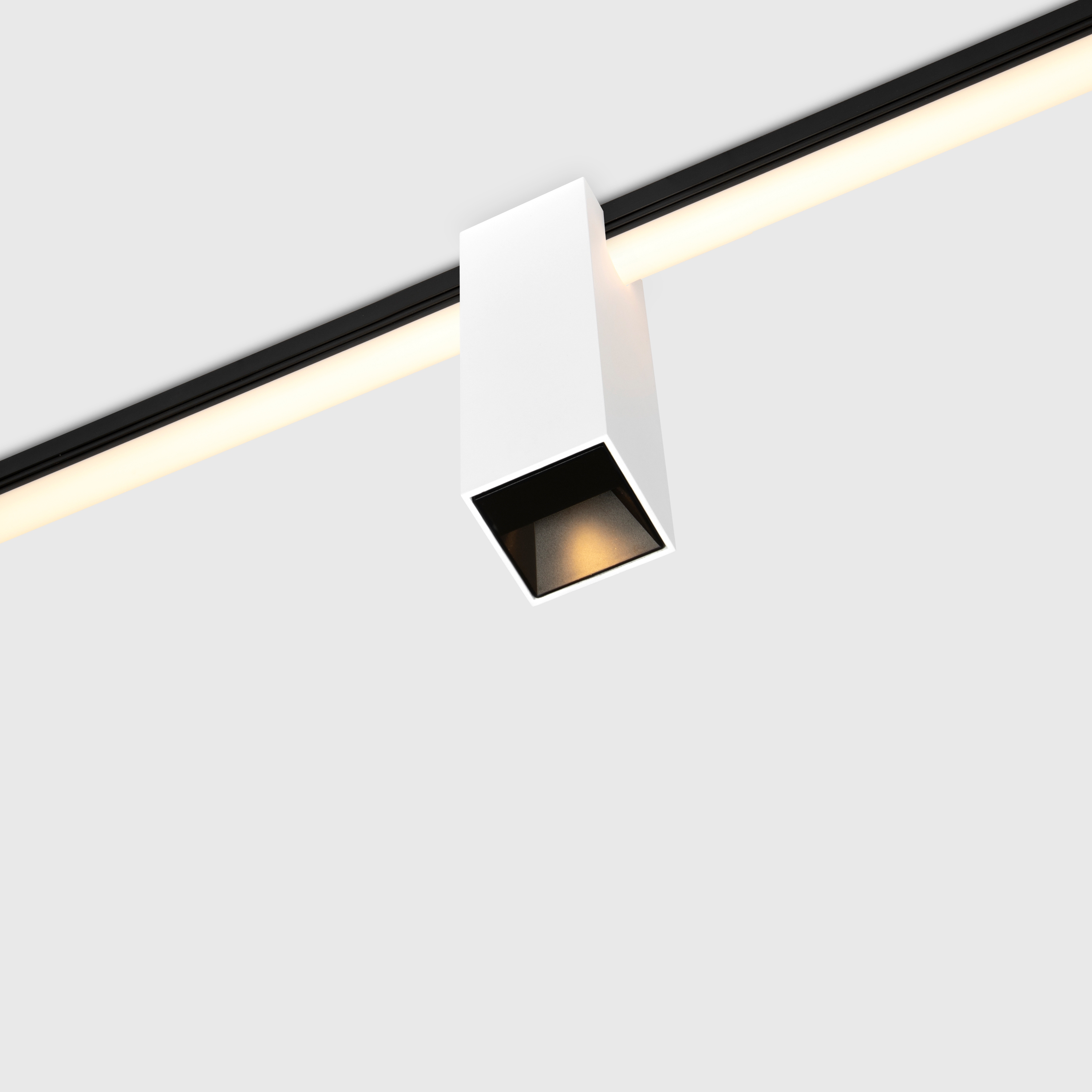 Kagi modules, level 1