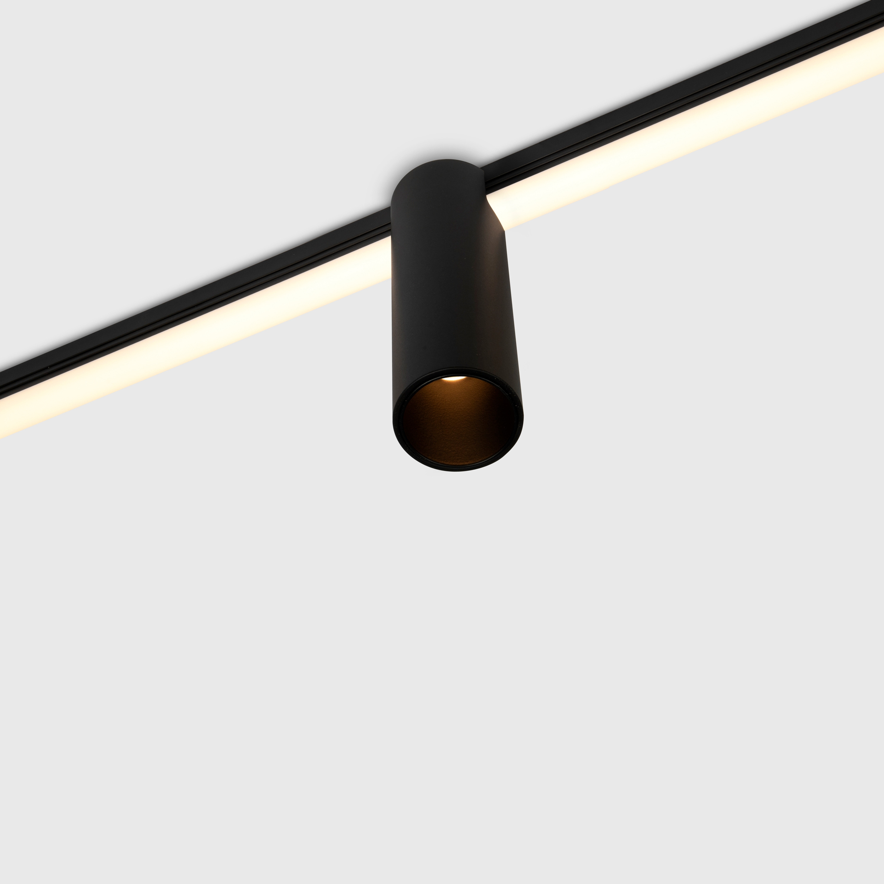 Kagi modules, level 1