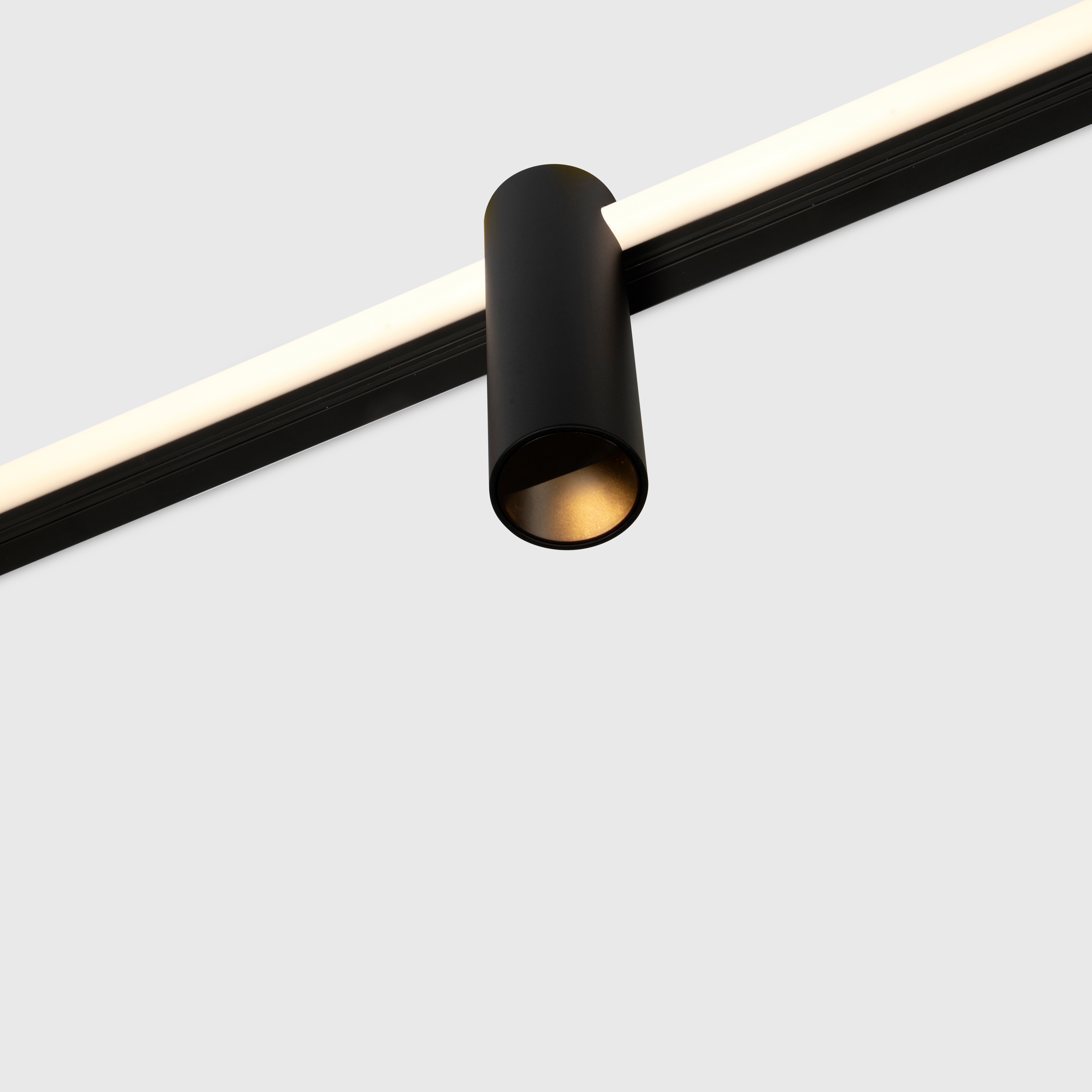 Kagi modules, level 2