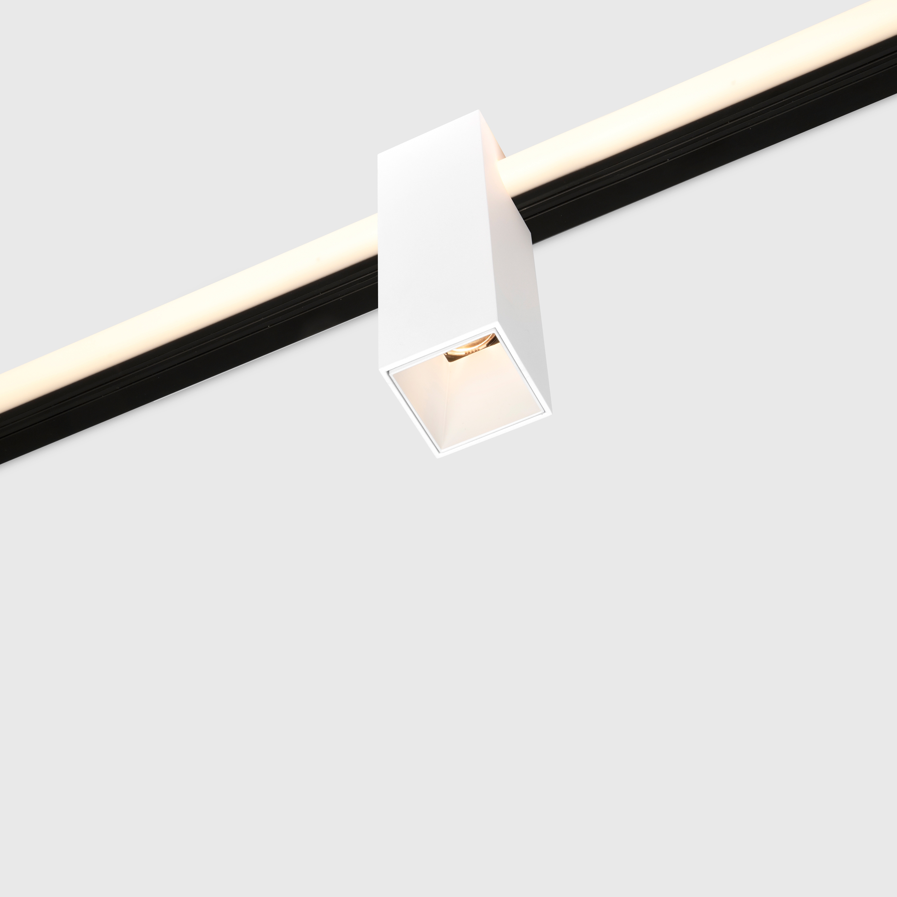 Kagi modules, level 2