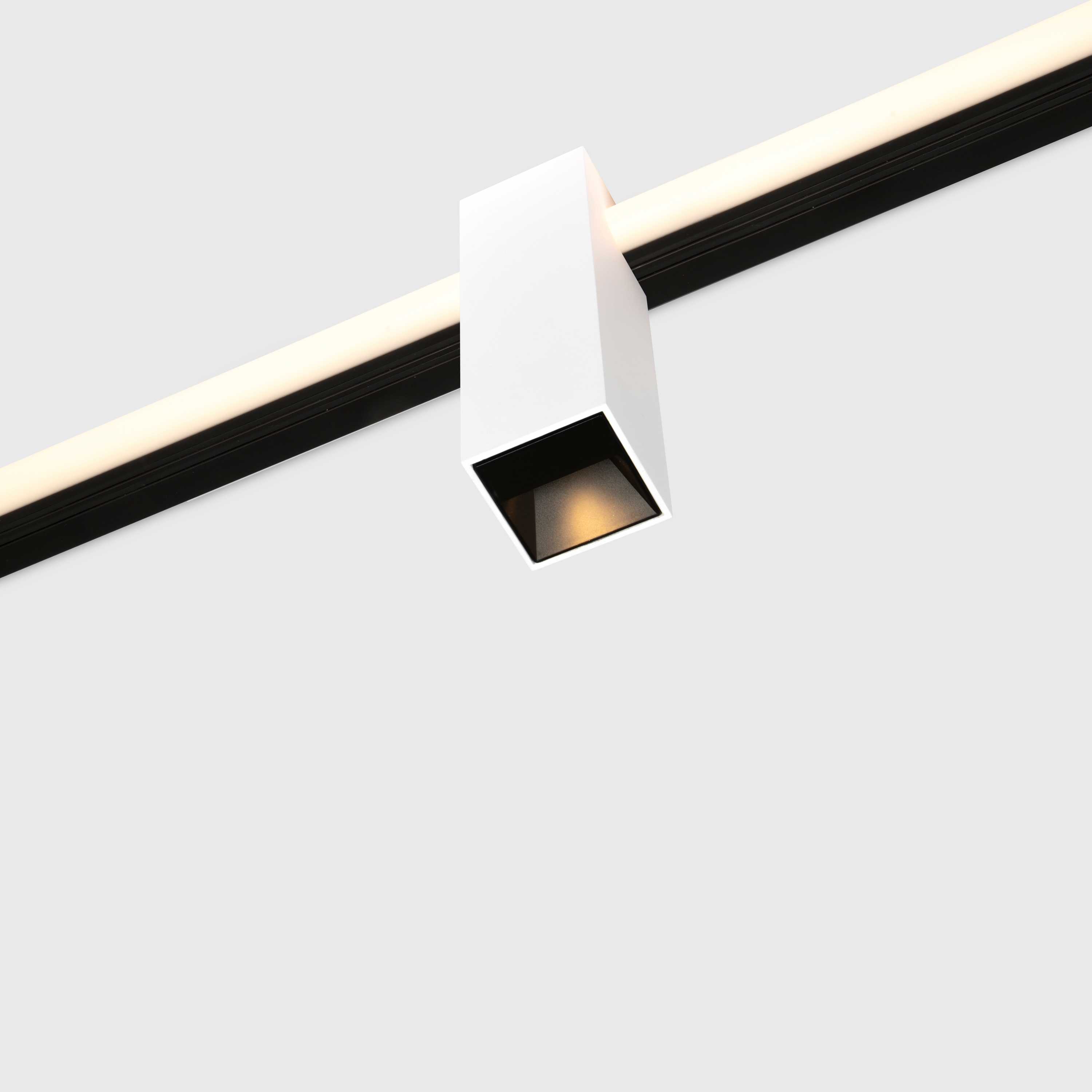 Kagi modules, level 2