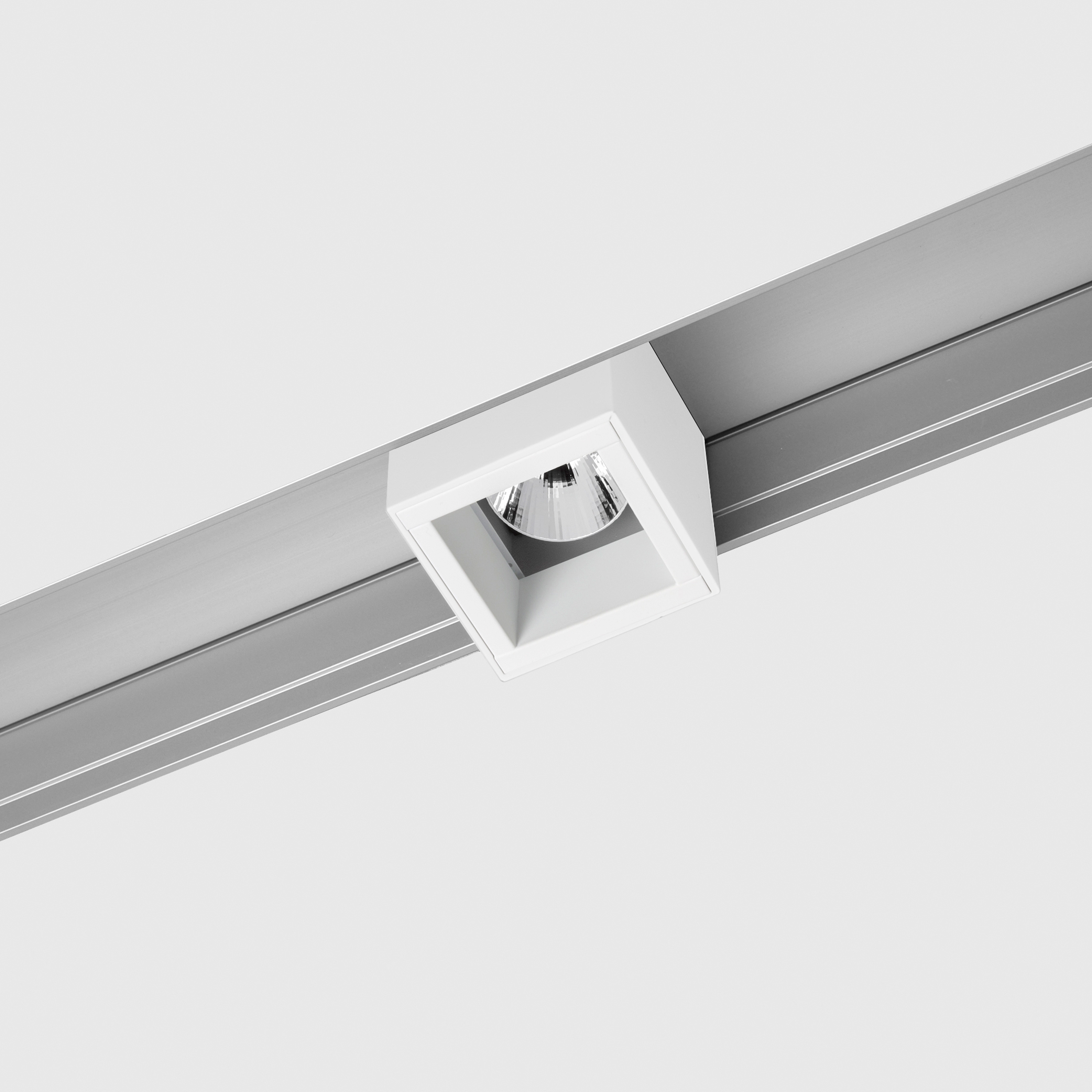 prologe 80 in-line & in-dolma single
