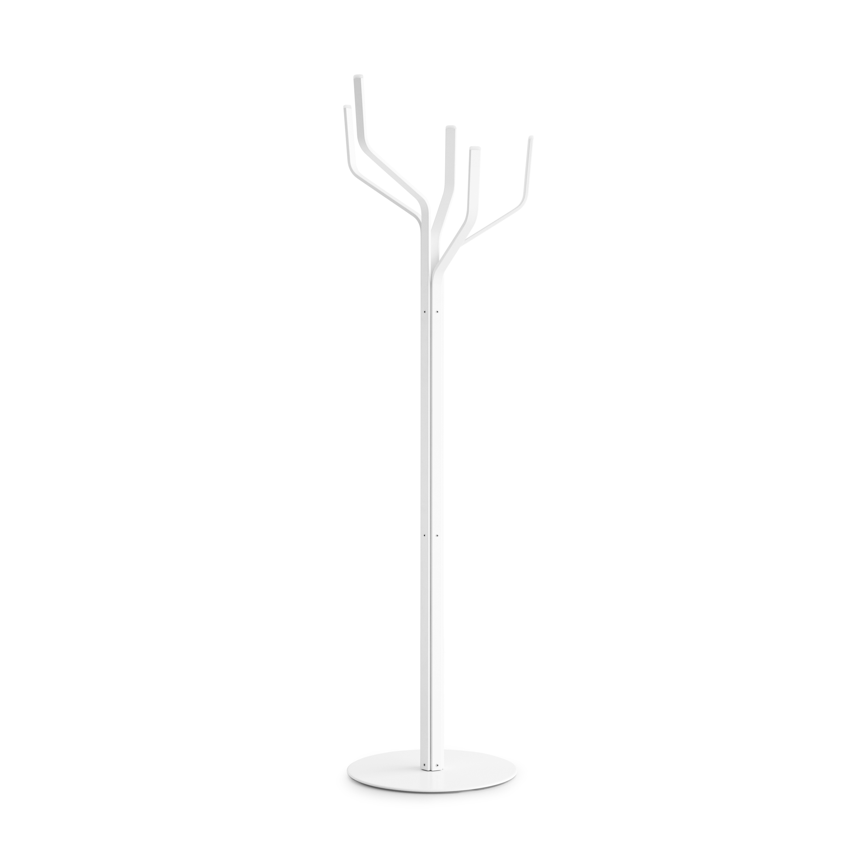 Albero