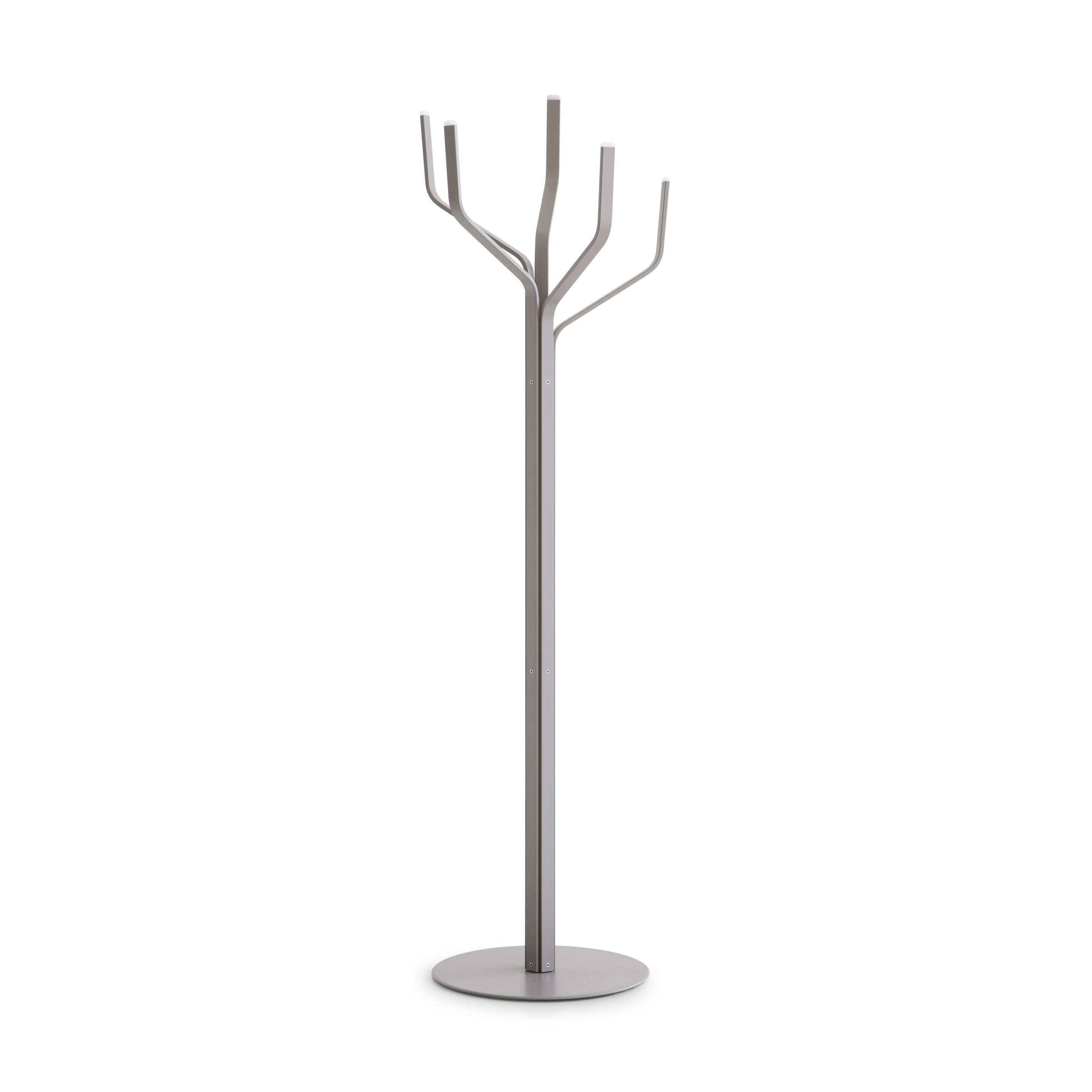 Albero