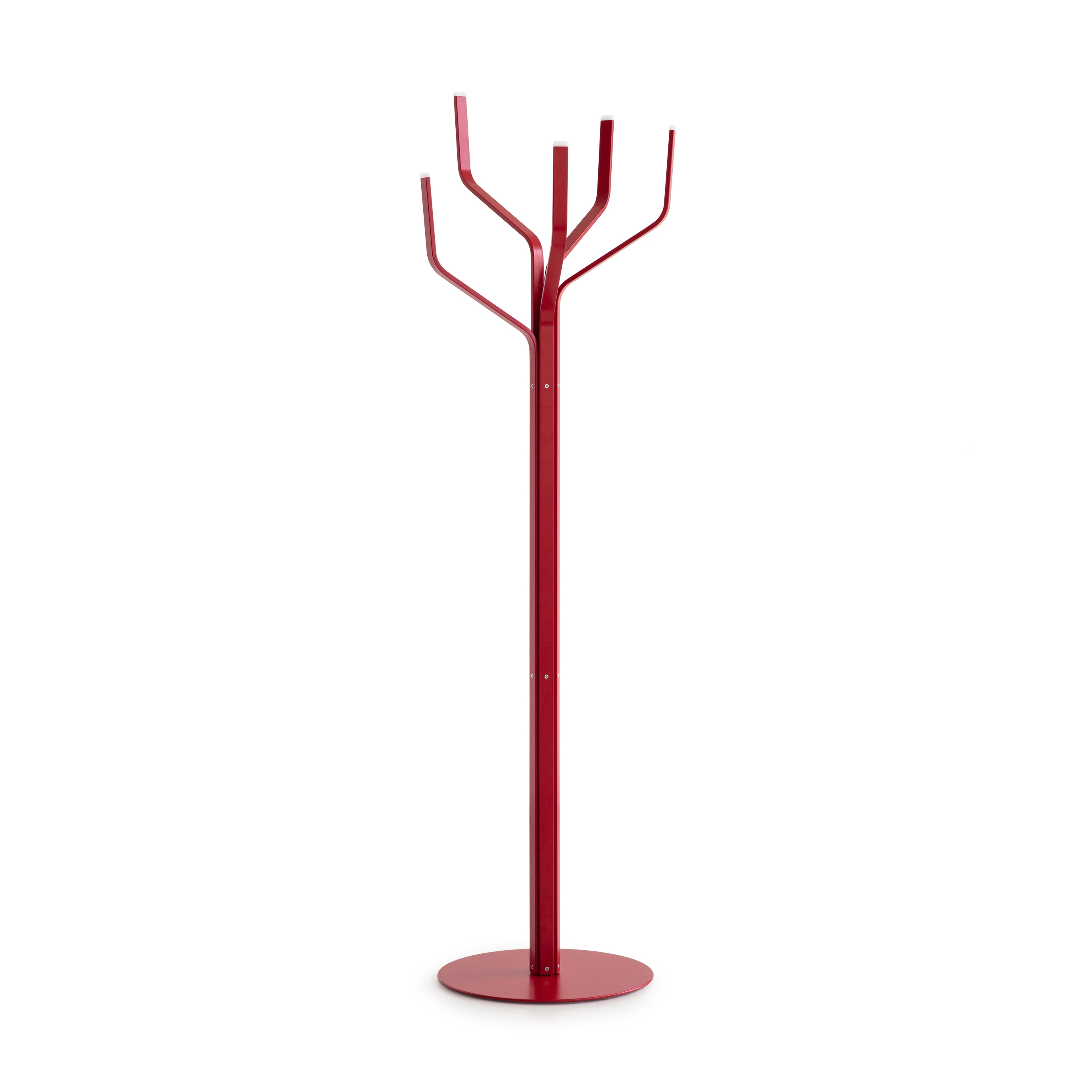 Albero