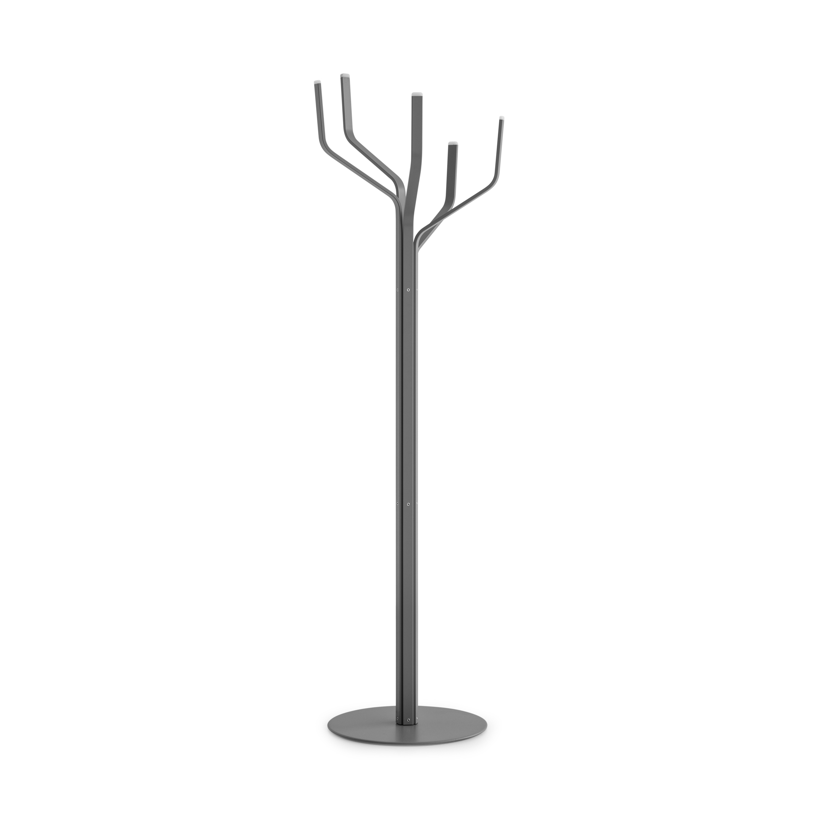Albero