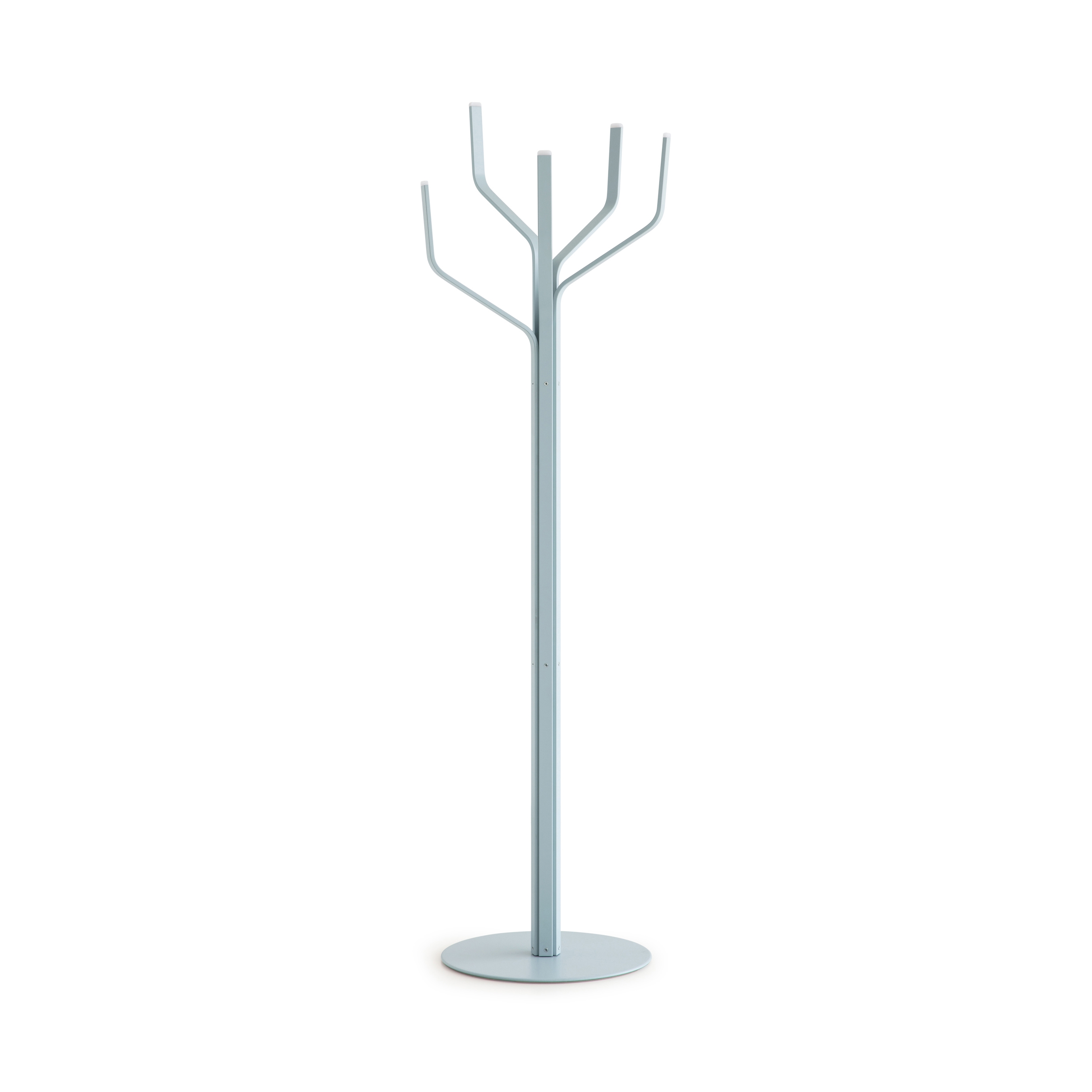 Albero