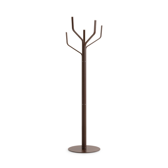 Albero