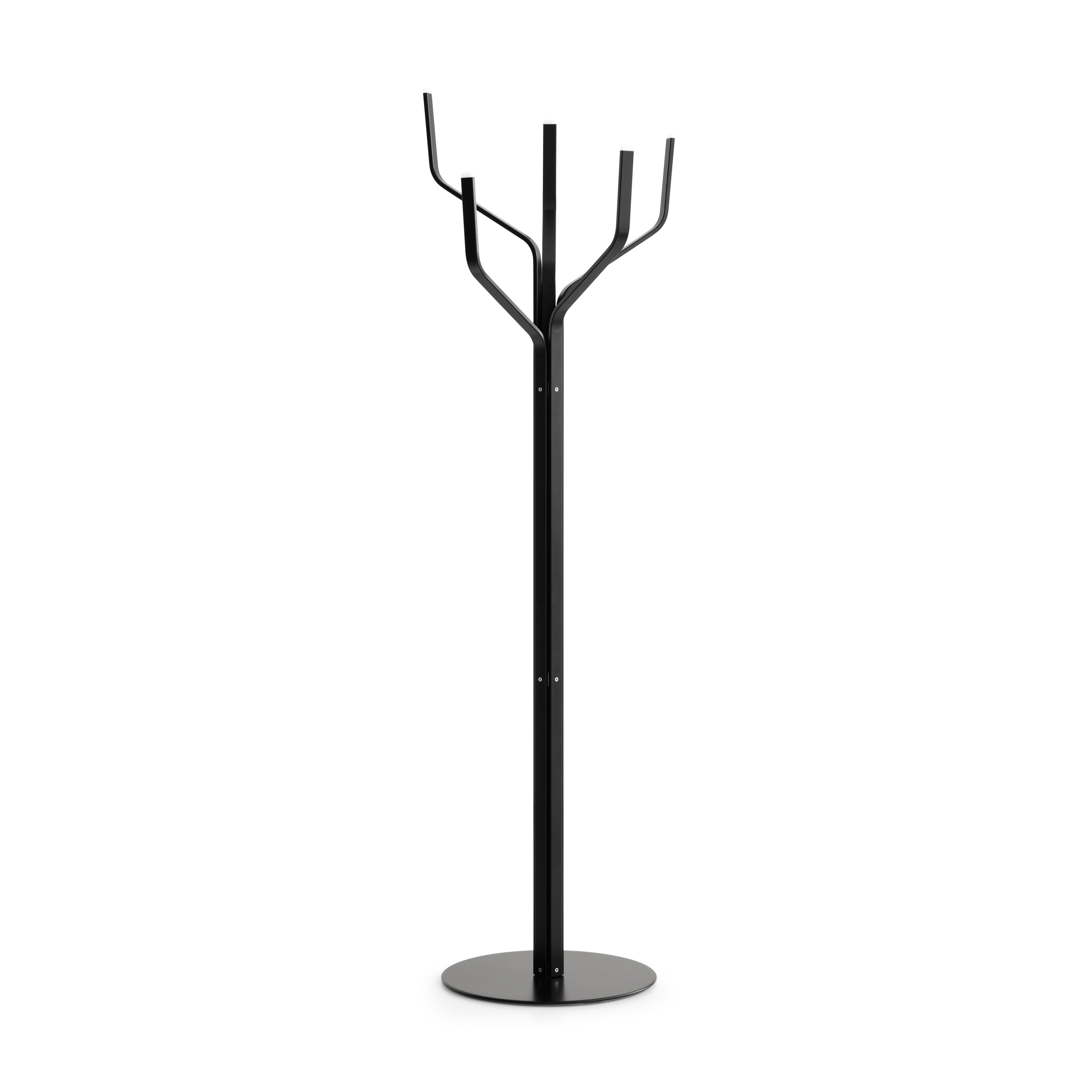 Albero