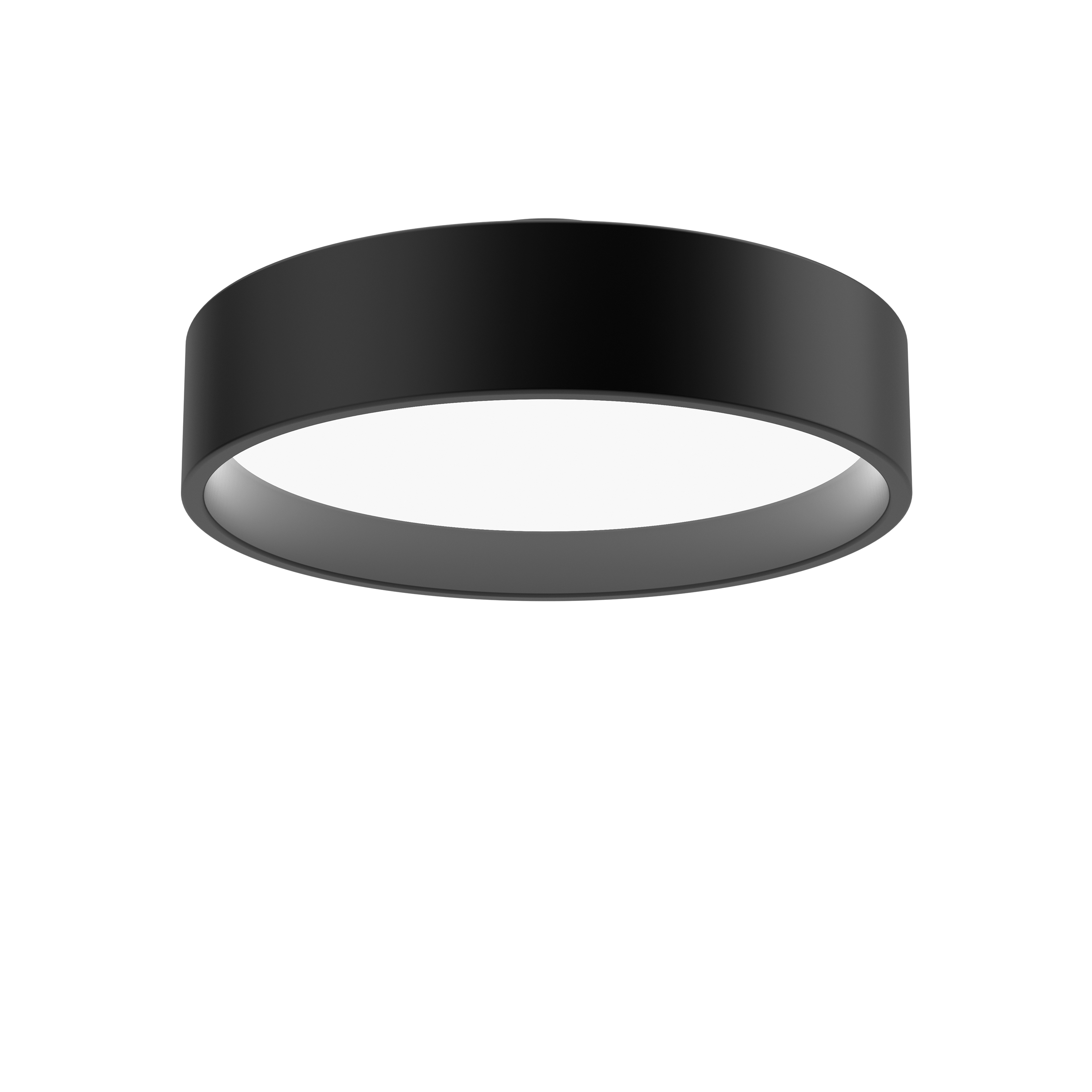 LP Circle Apparent